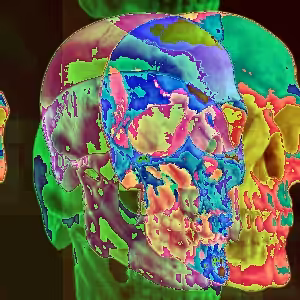 Glitched Skull #005
