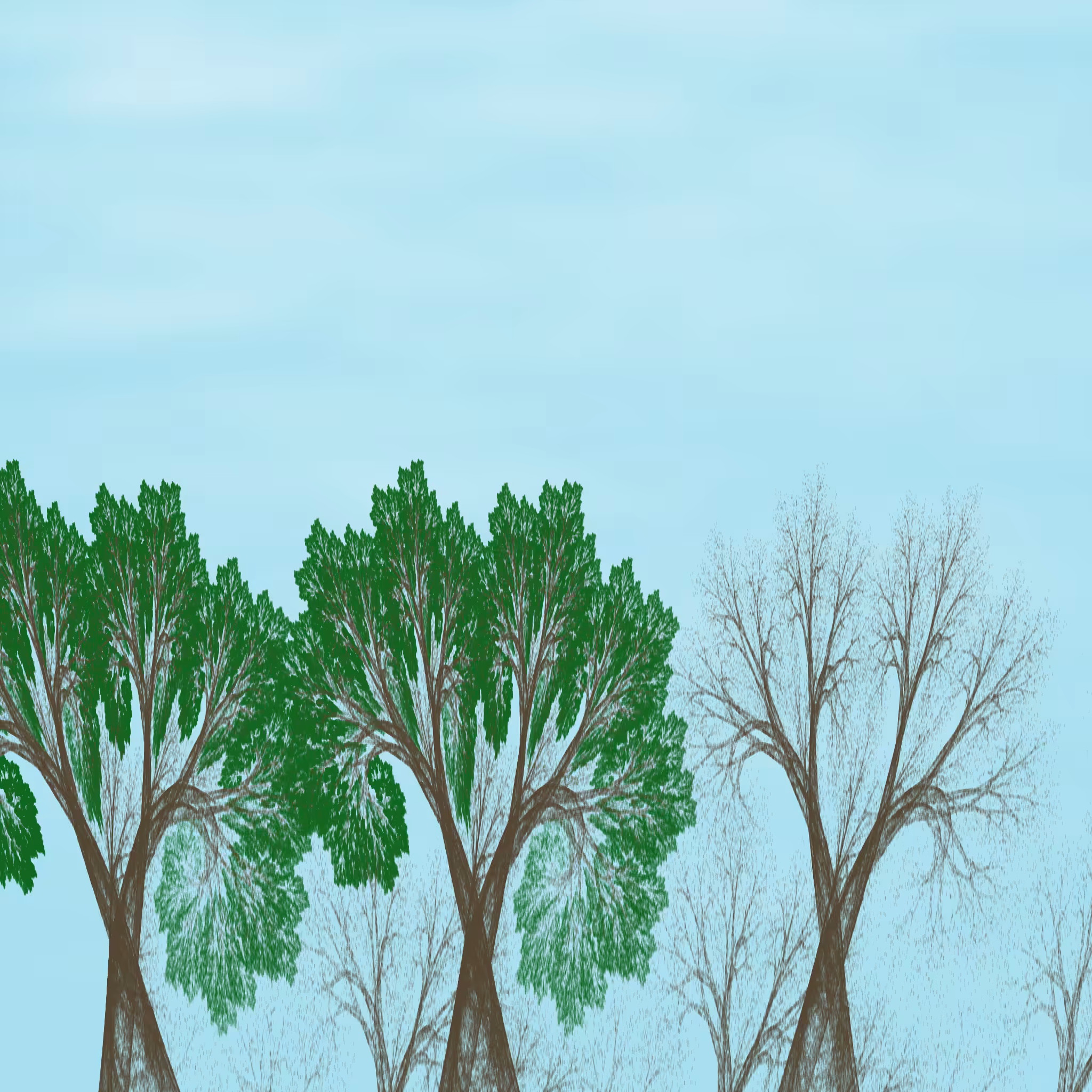Chaotic Treescape #6