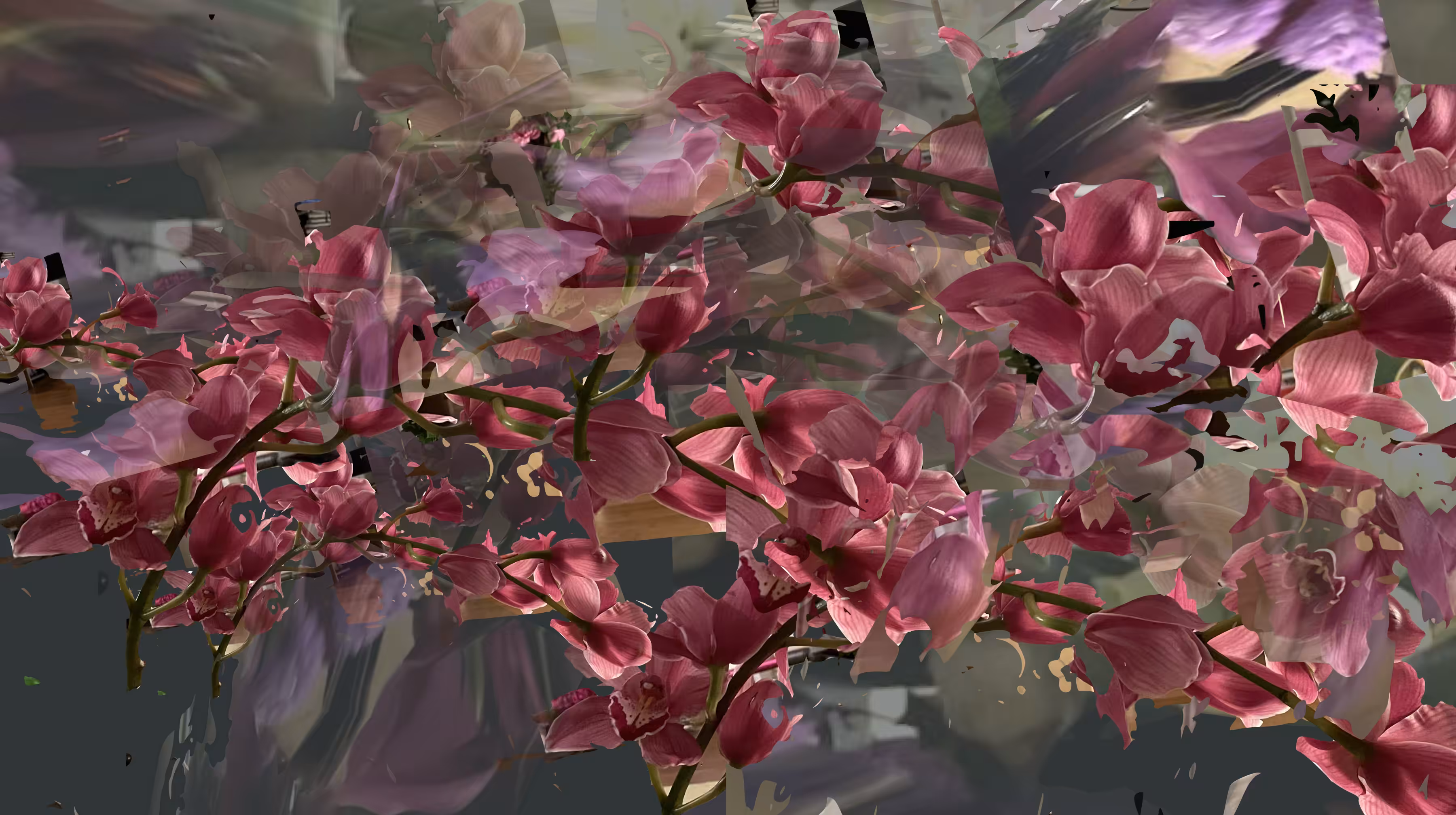 Orchid2World / For AF