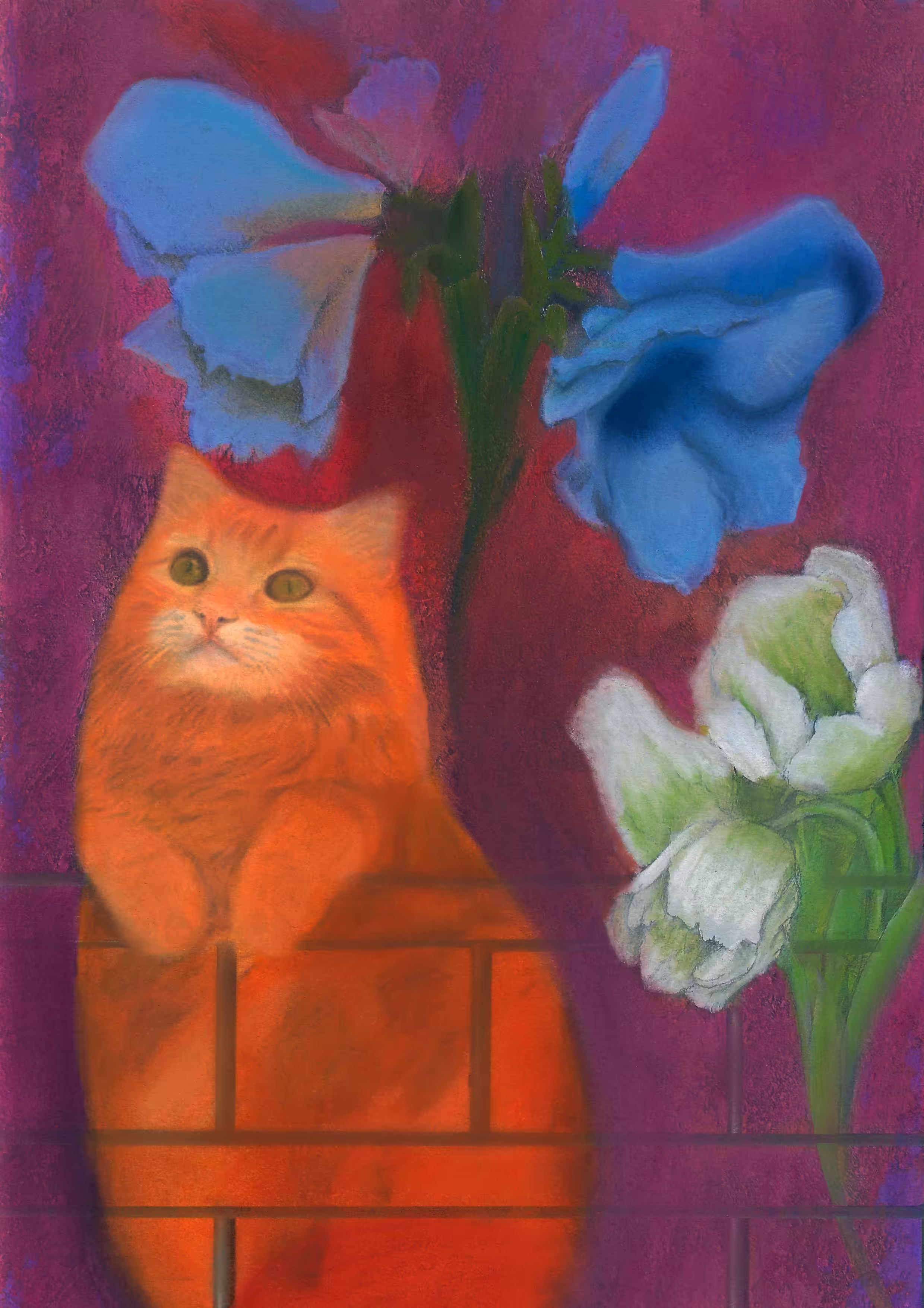 cats&another beautiful pets: On the balcony 