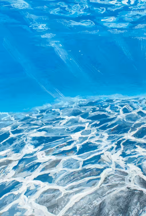 Ocean Floor