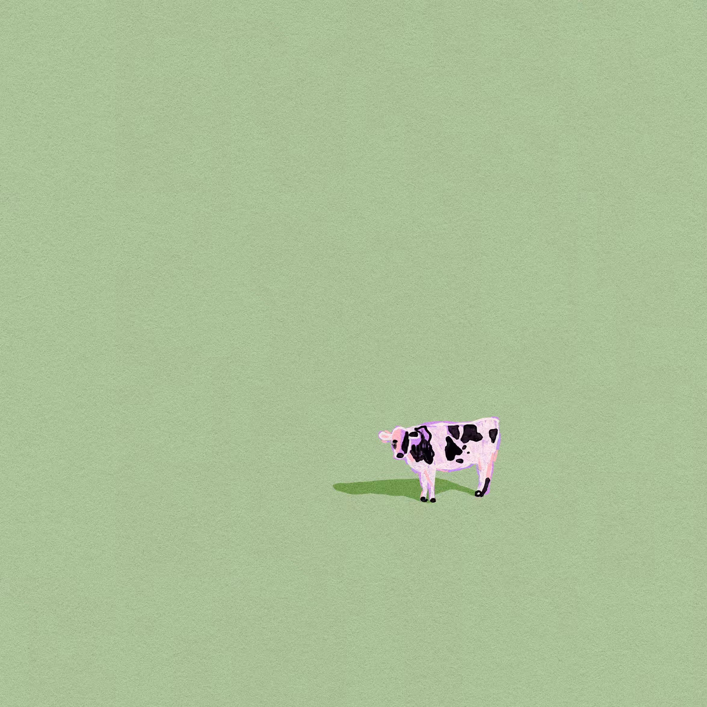 Melancholy Cow