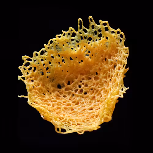The Golden Nest