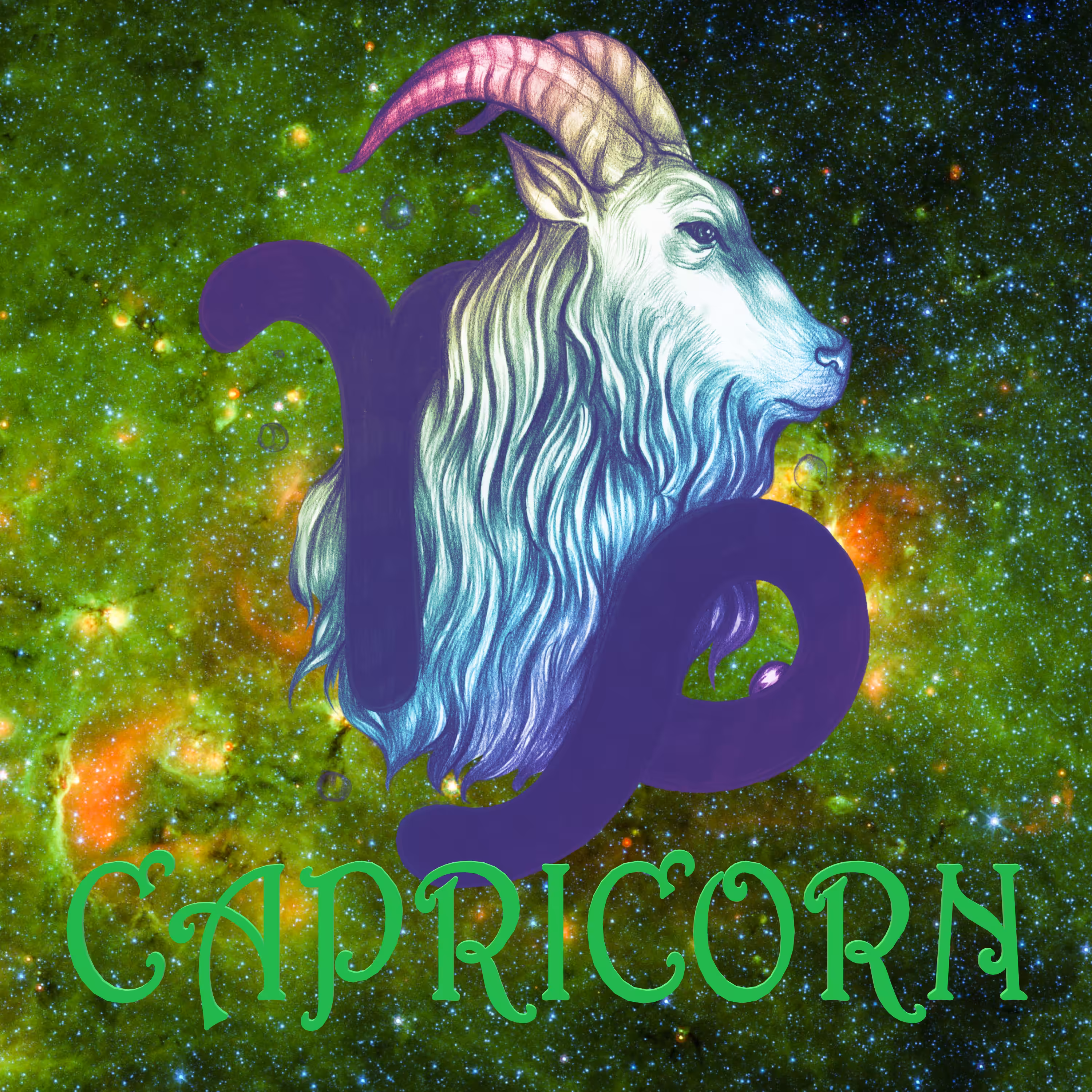 Nifty Zodiac Signs: Zodiac: Capricorn #10