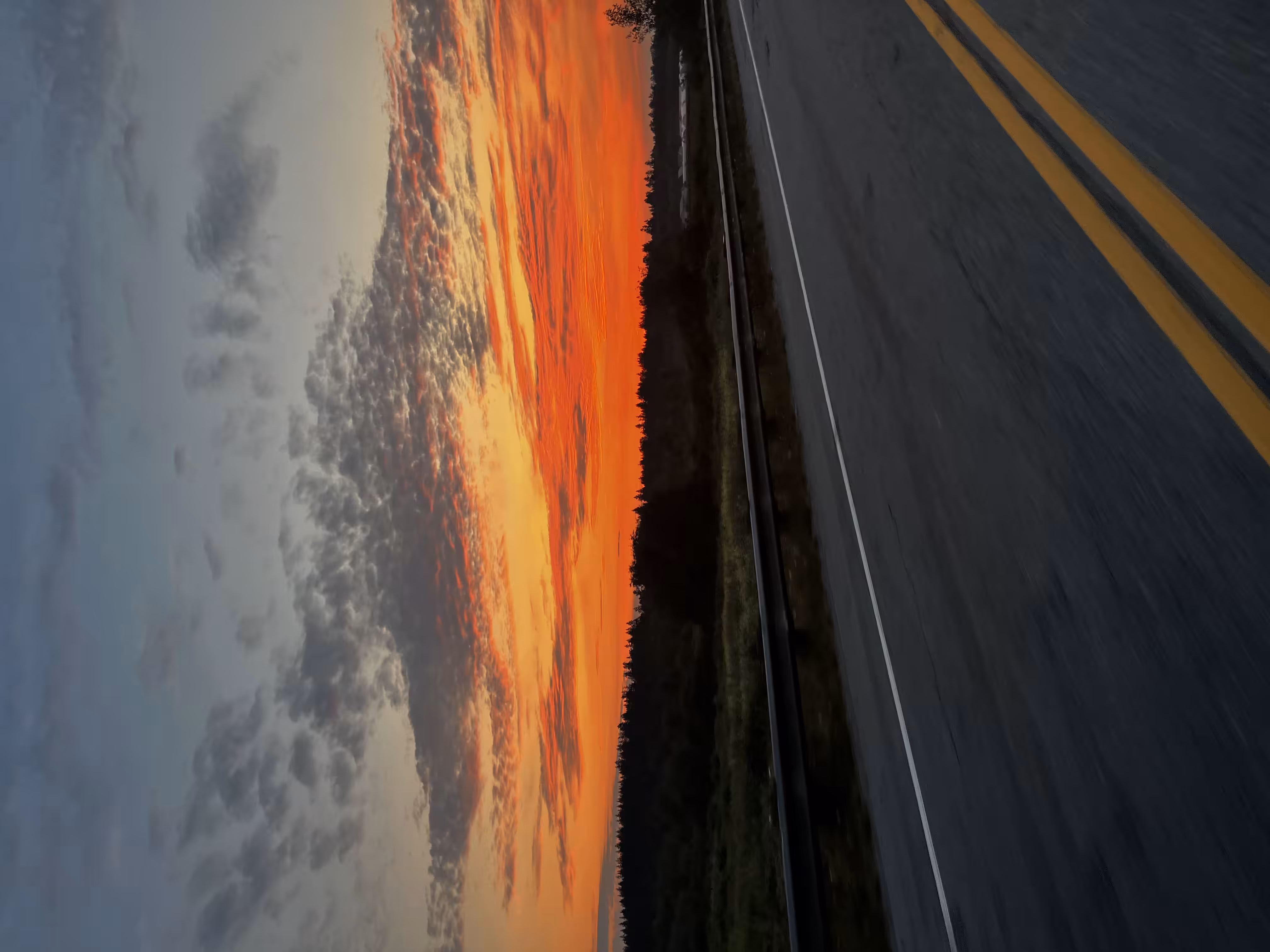 The Rush