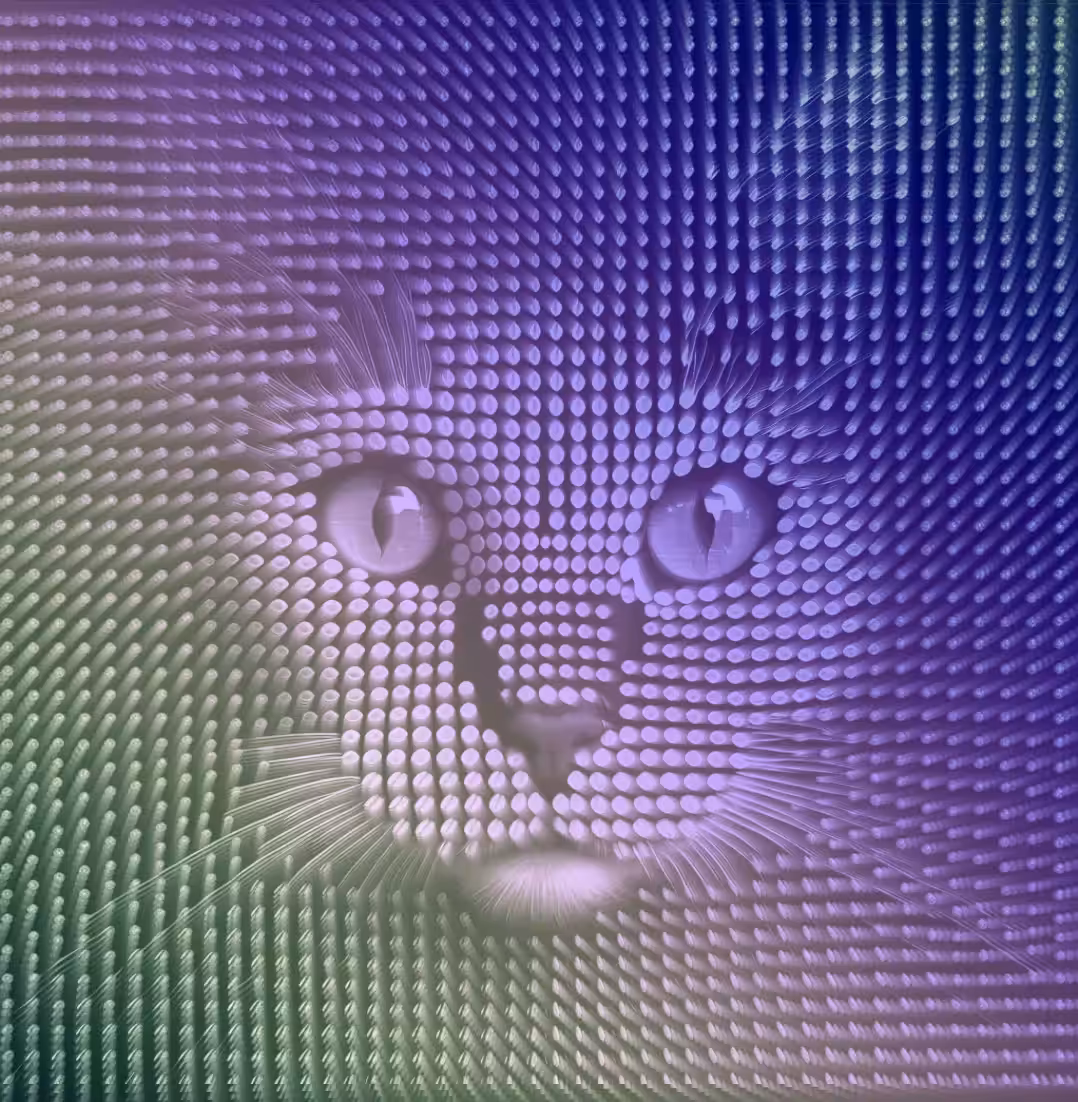 PSYCHOCAT