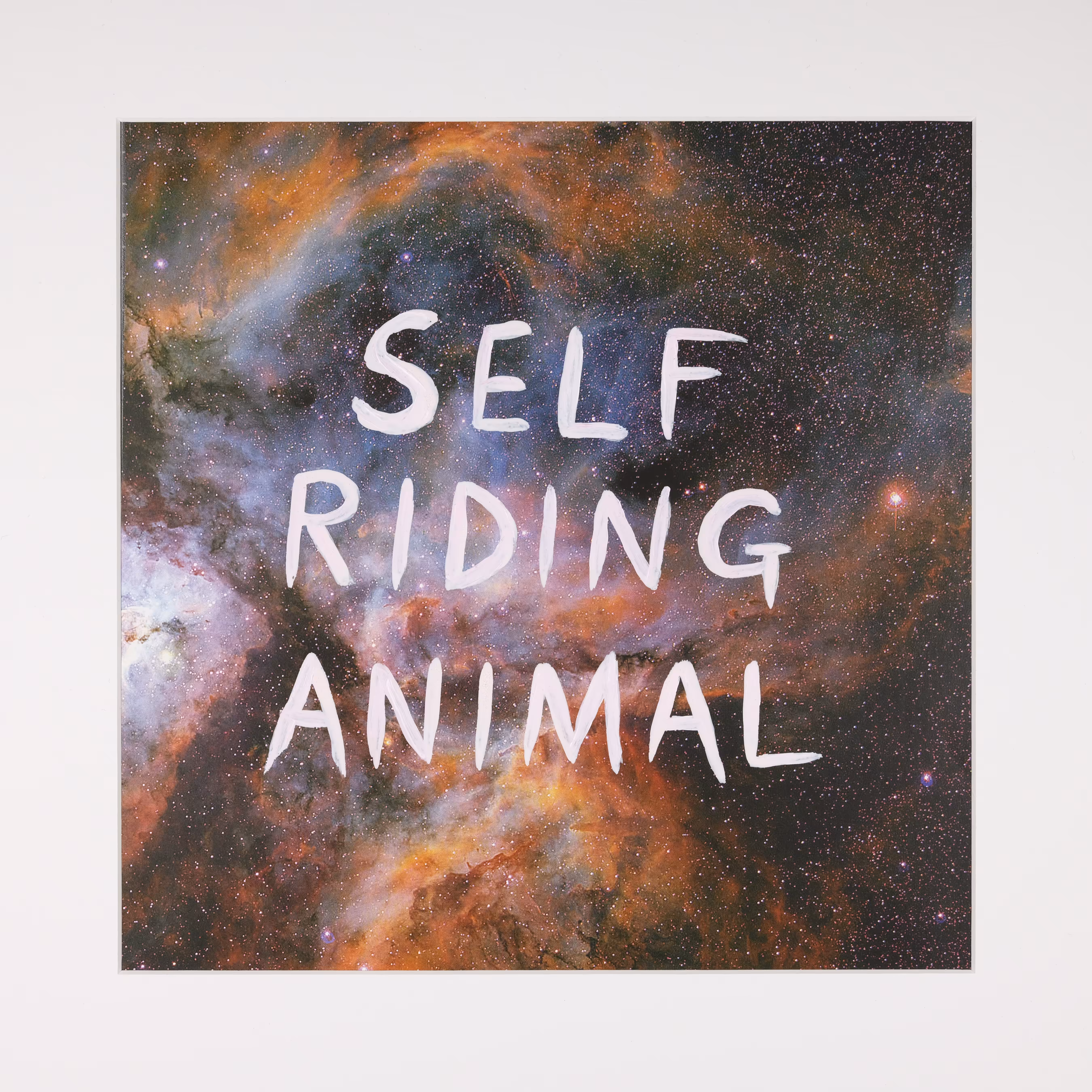 Infinity Today: Self-Riding Animal/ Technology simultaneously frees and subjugates