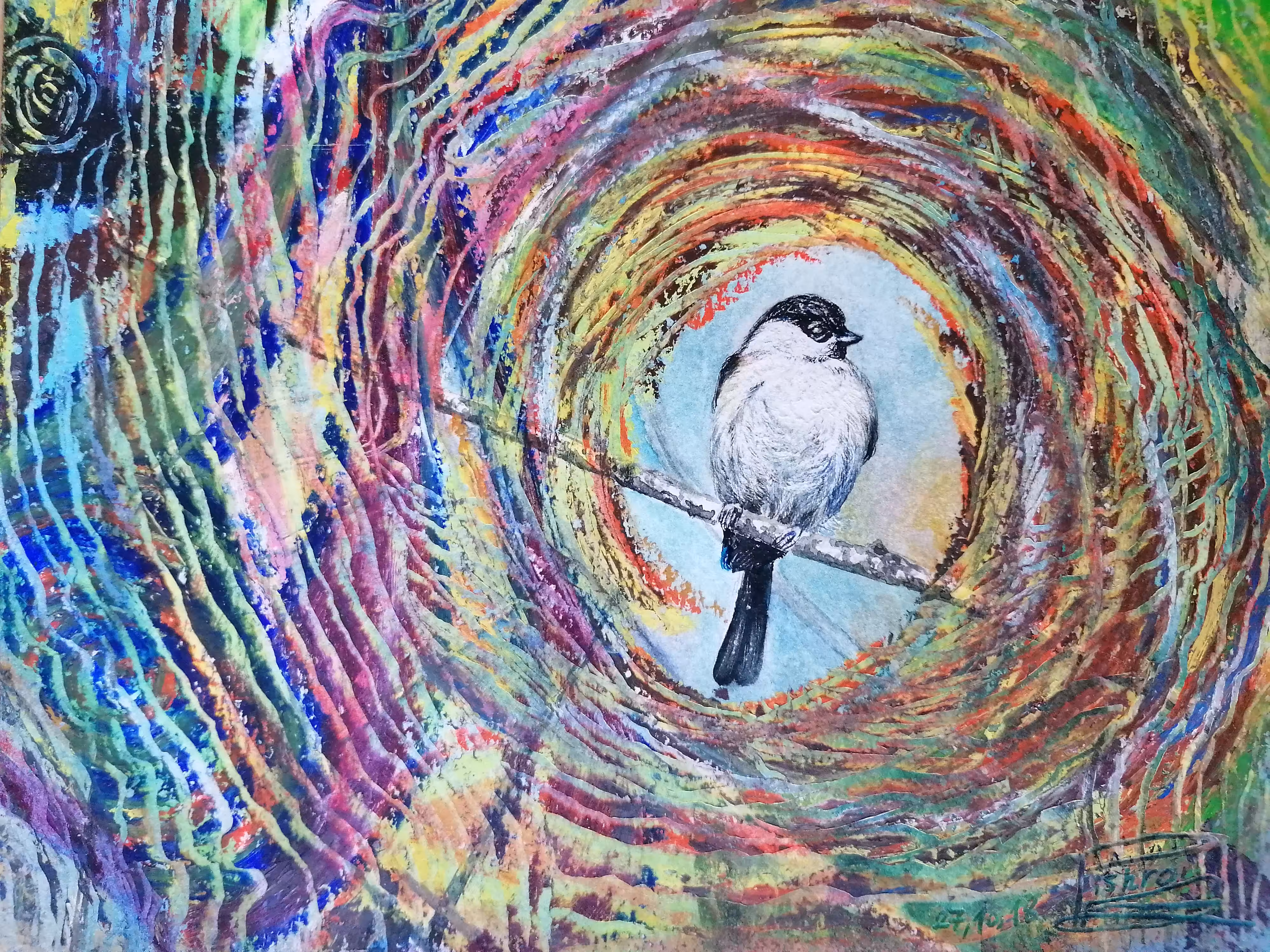 Bird in tims's tunnel