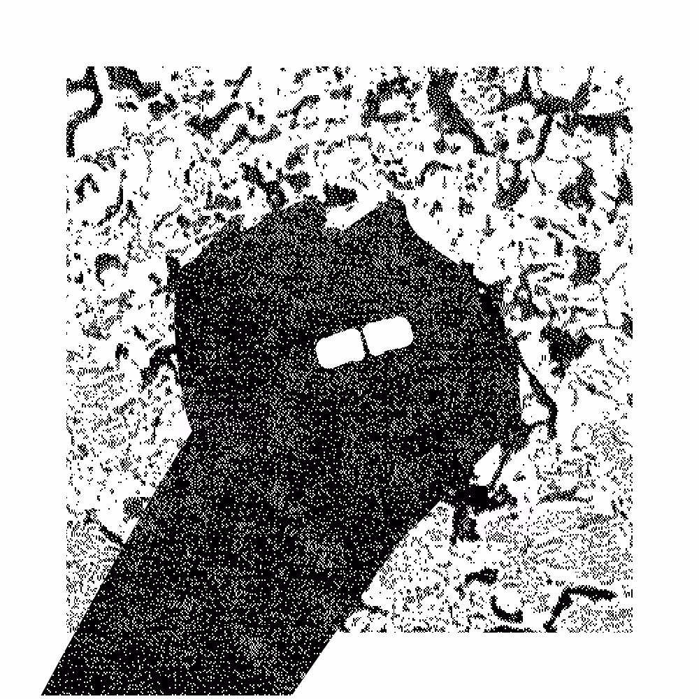 Missingno #41