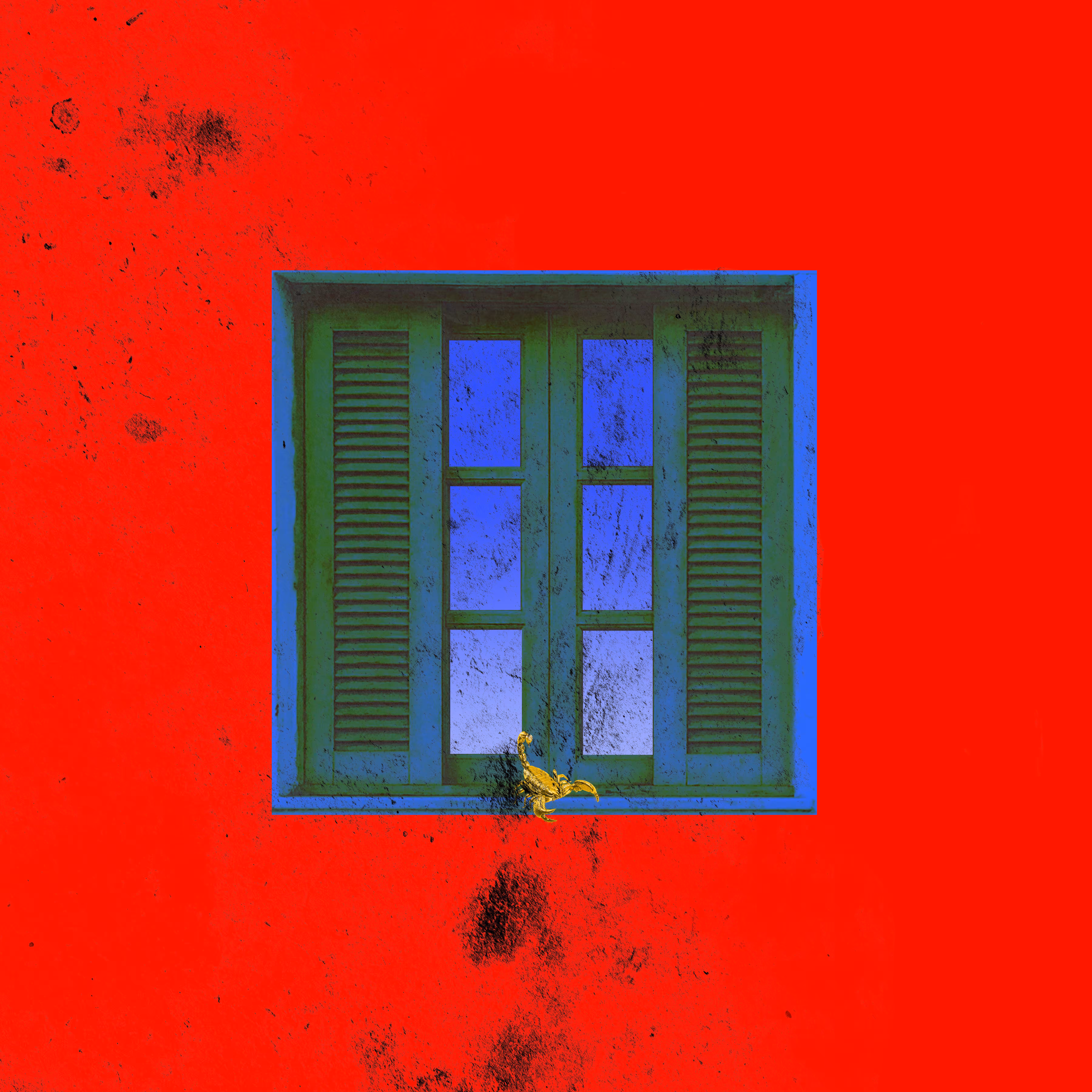 WNDW
