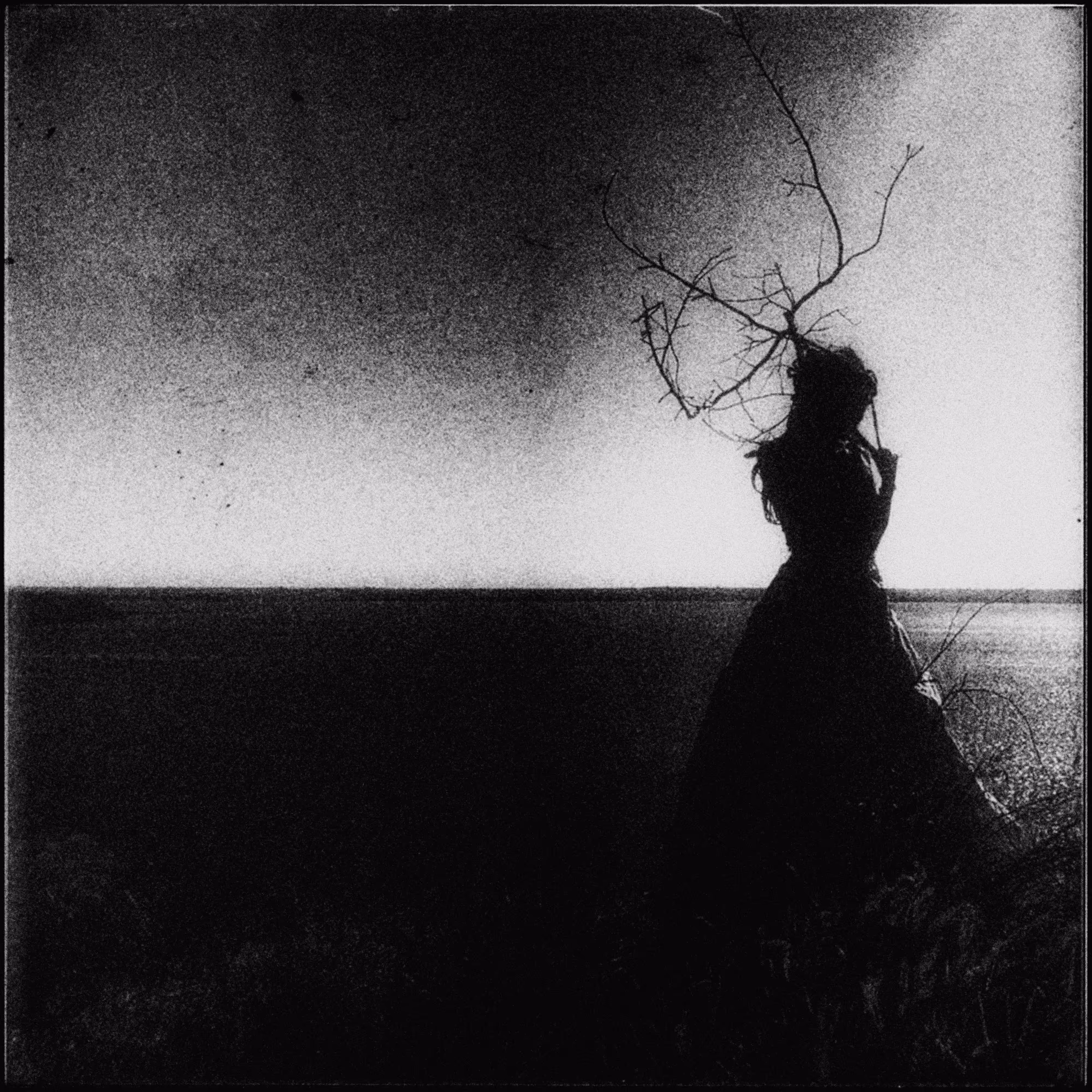 • illusory freedom •