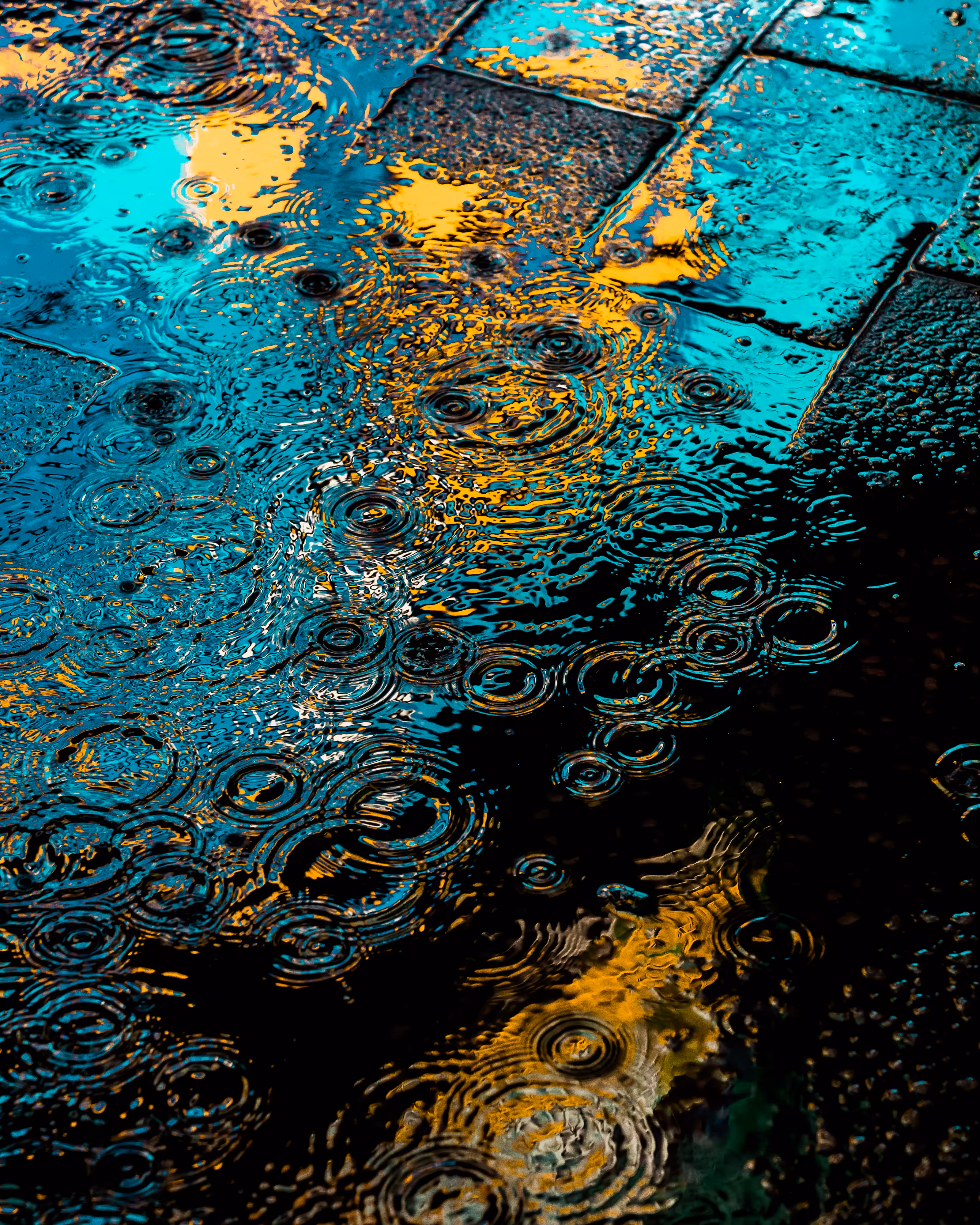DRIP DROP: DRIP #253
