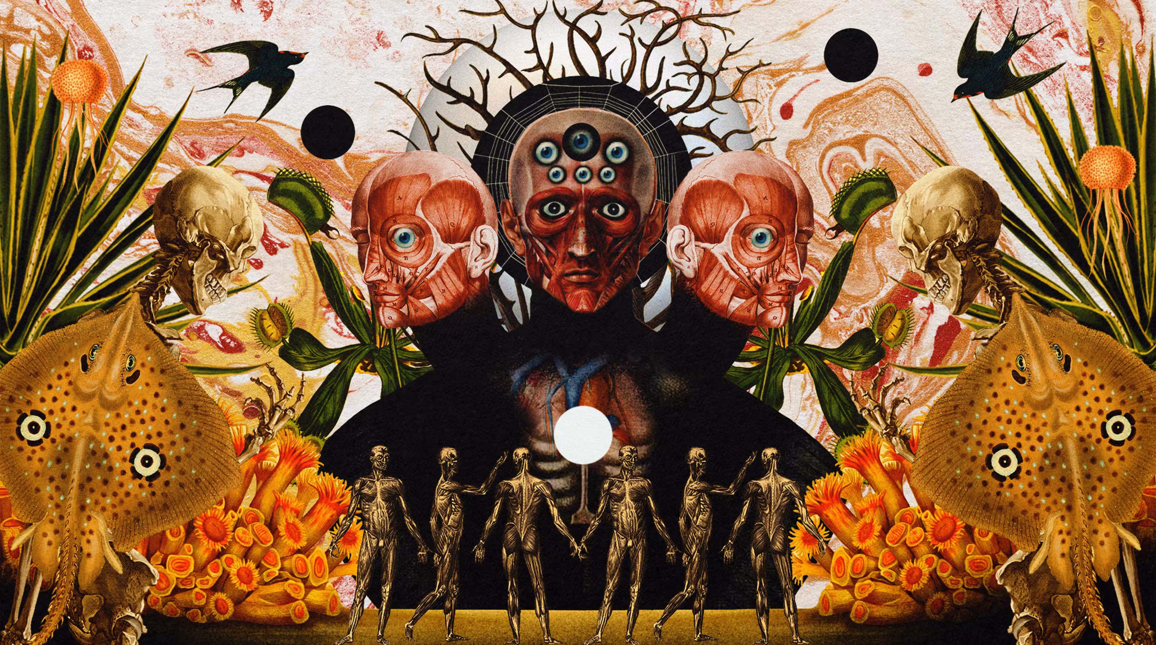 Observer