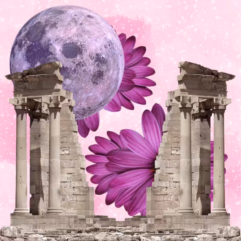 Pink Moon #37