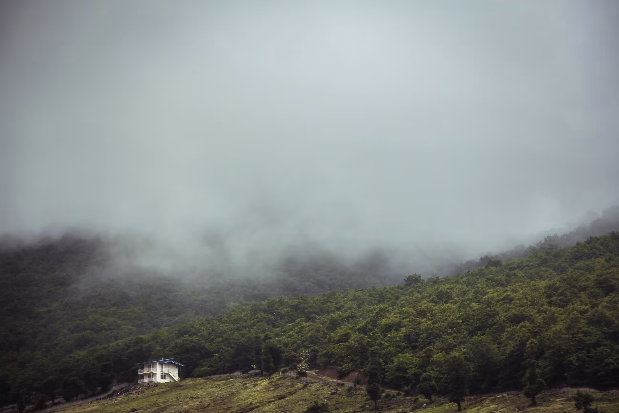 The Green Refuge