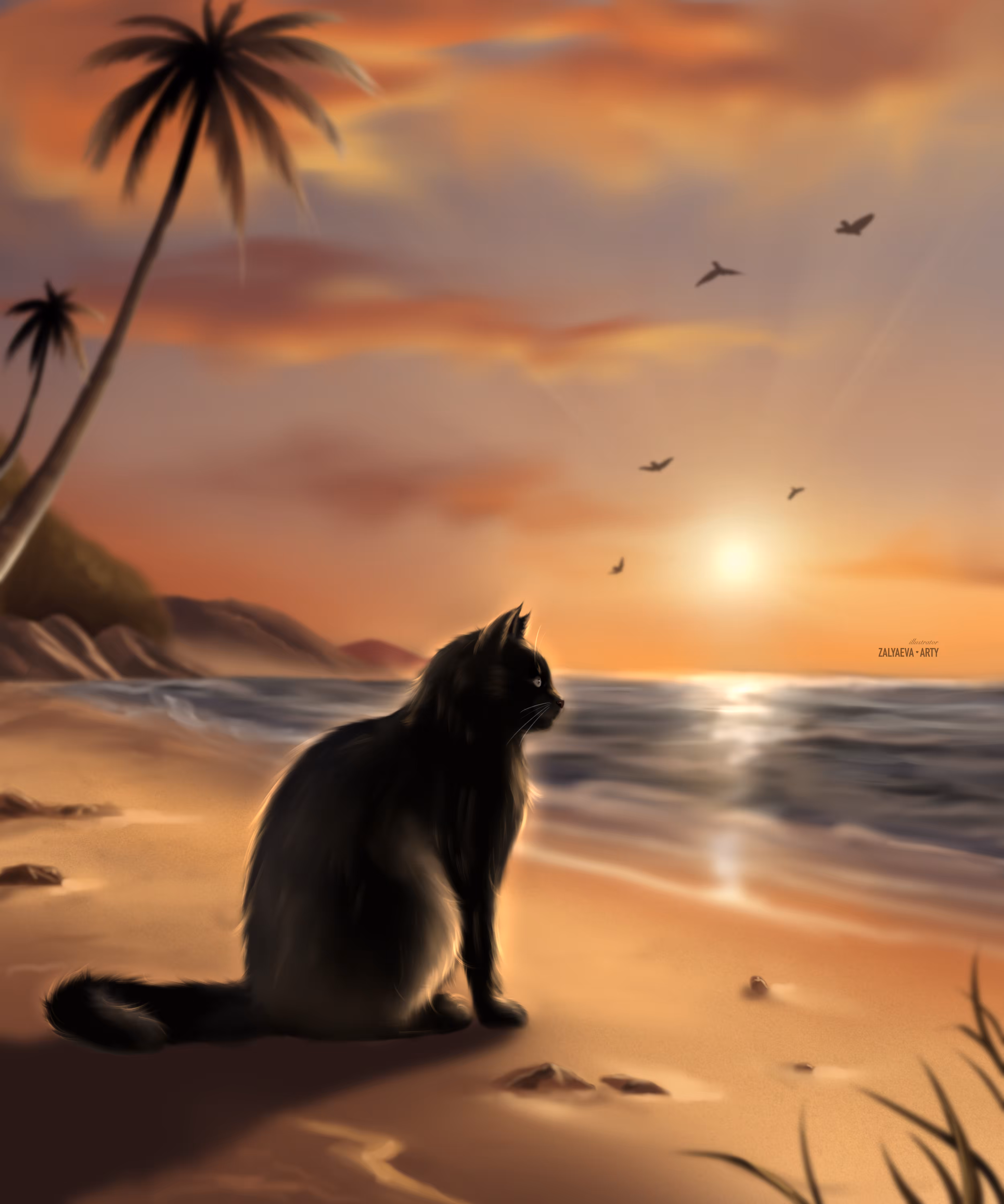 Cute black cat 