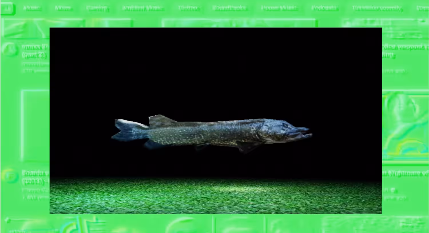 Pike.mp4