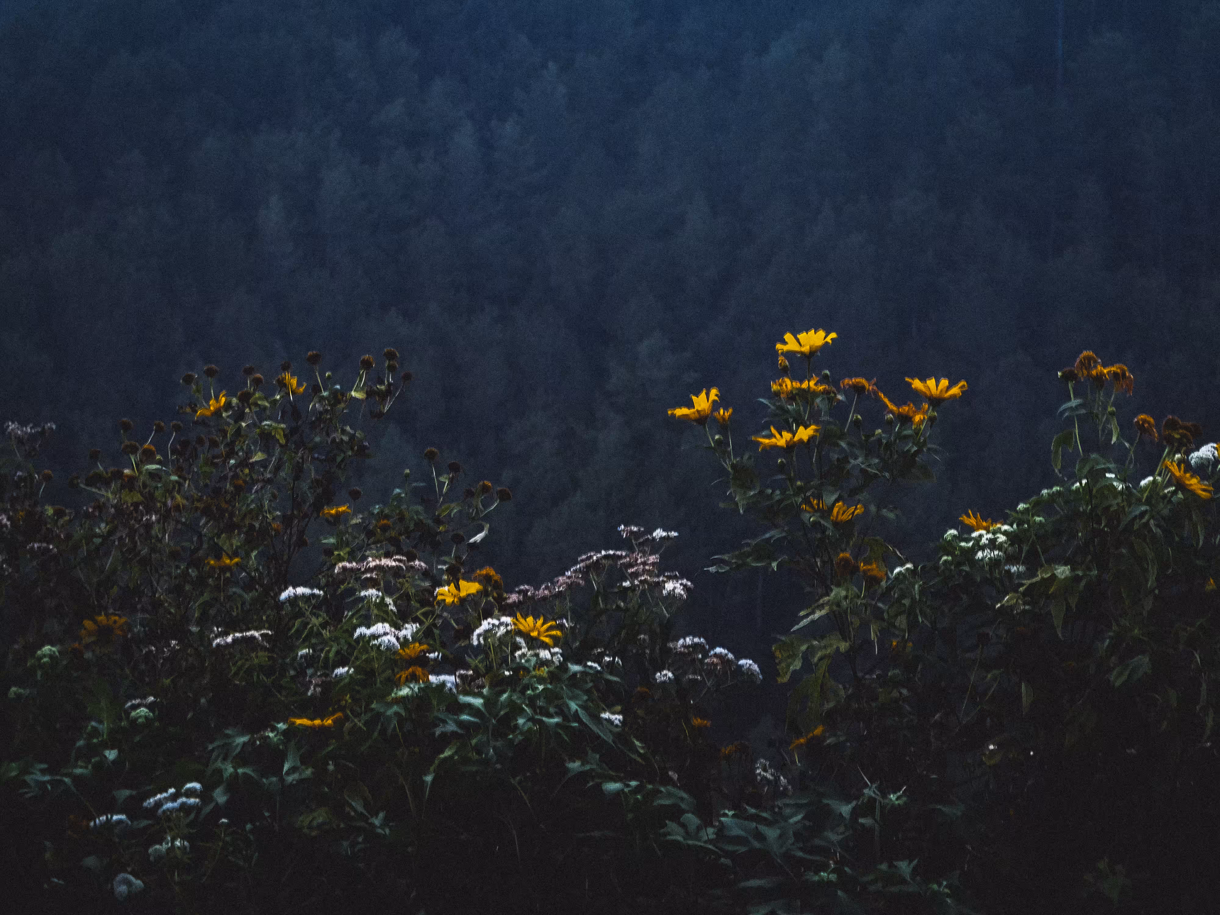To find some peace of mind | part [1]