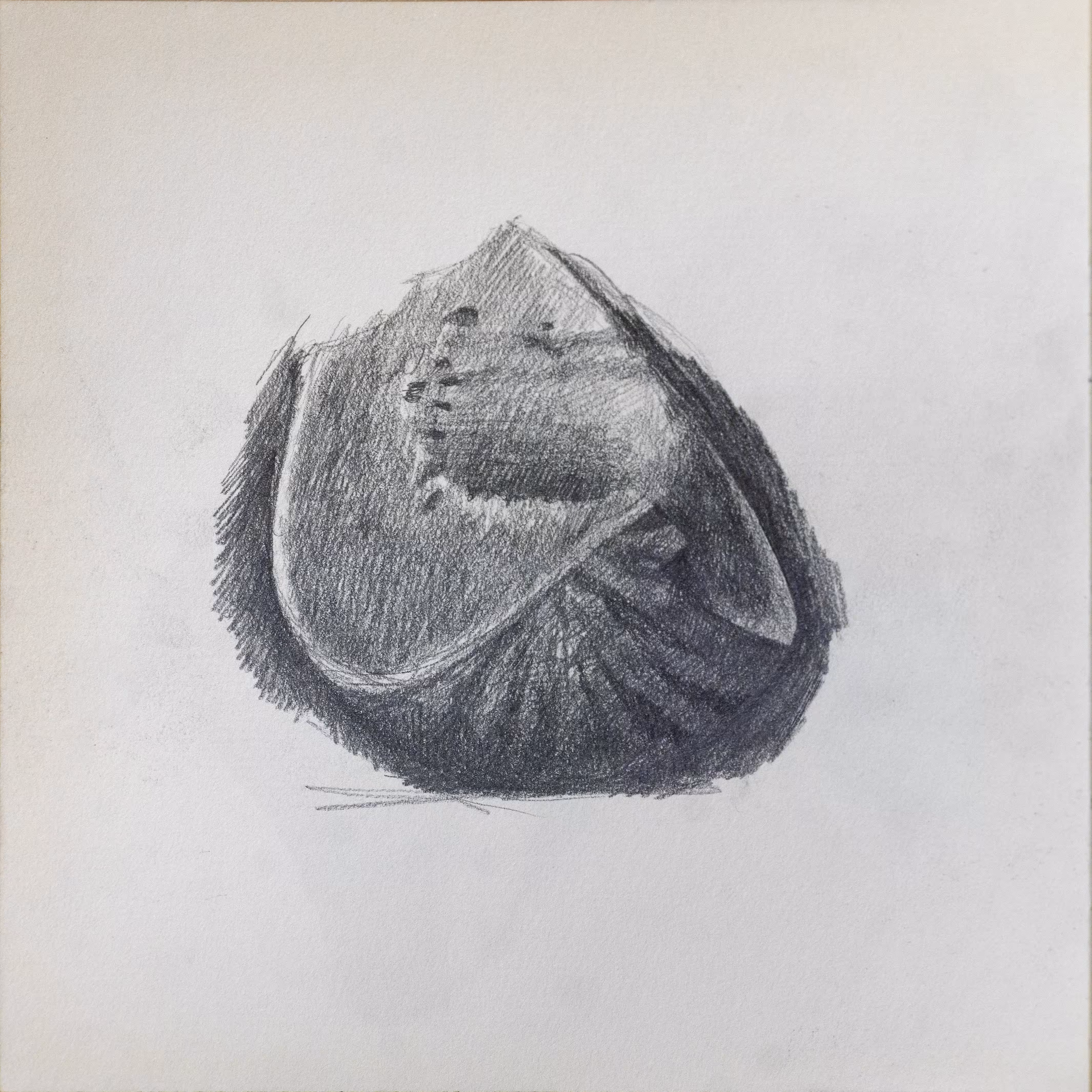 fruit sketch