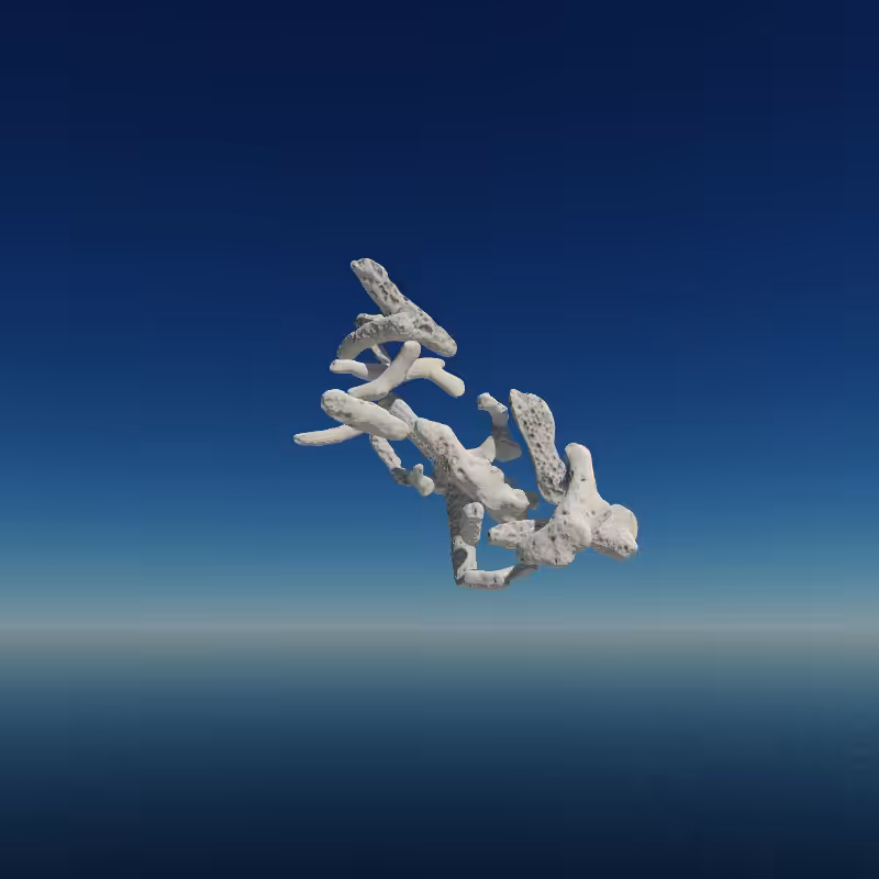 Bone Work (Gulf of Mexico) 2022 #65
