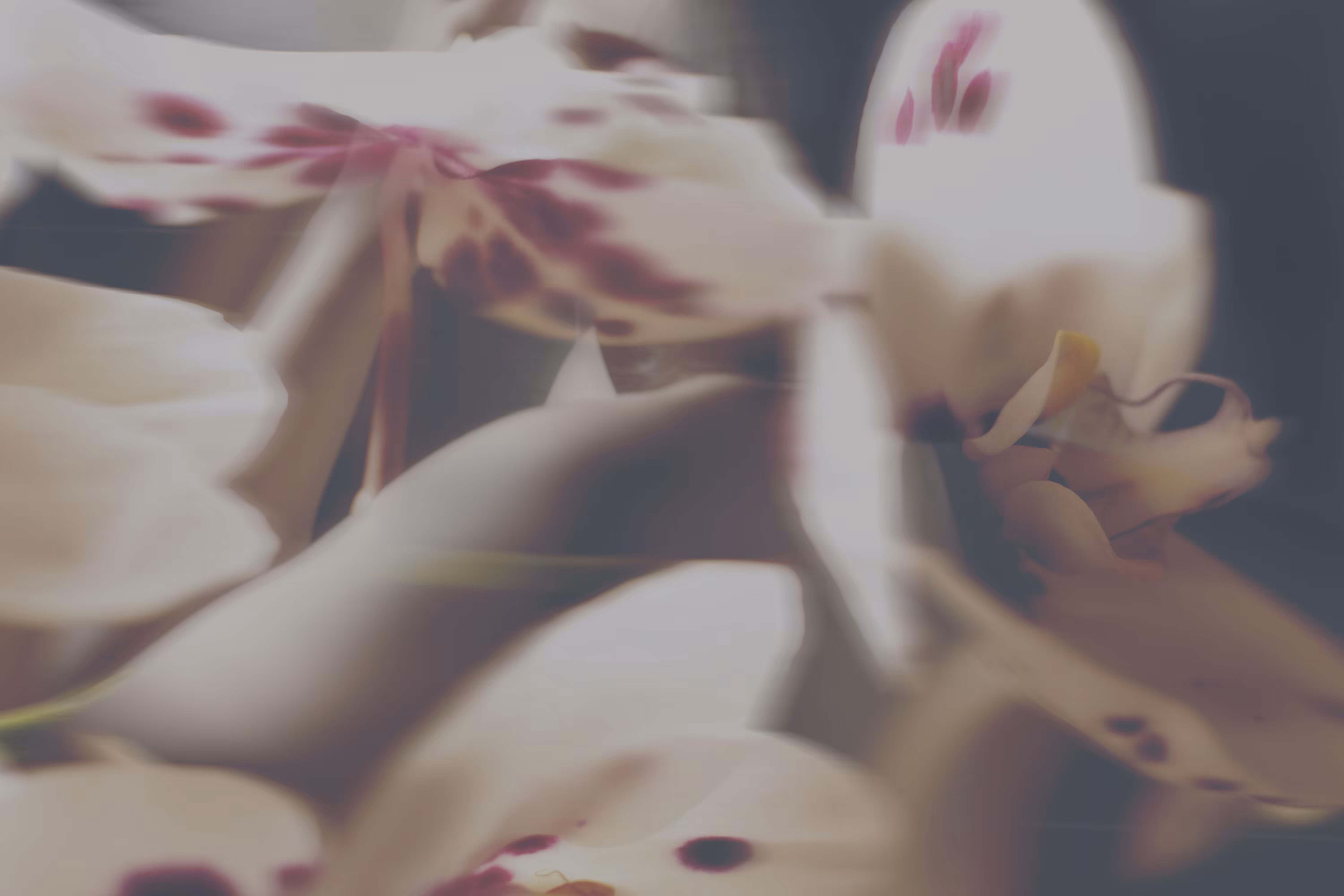 THE DESIRE DIARY #01