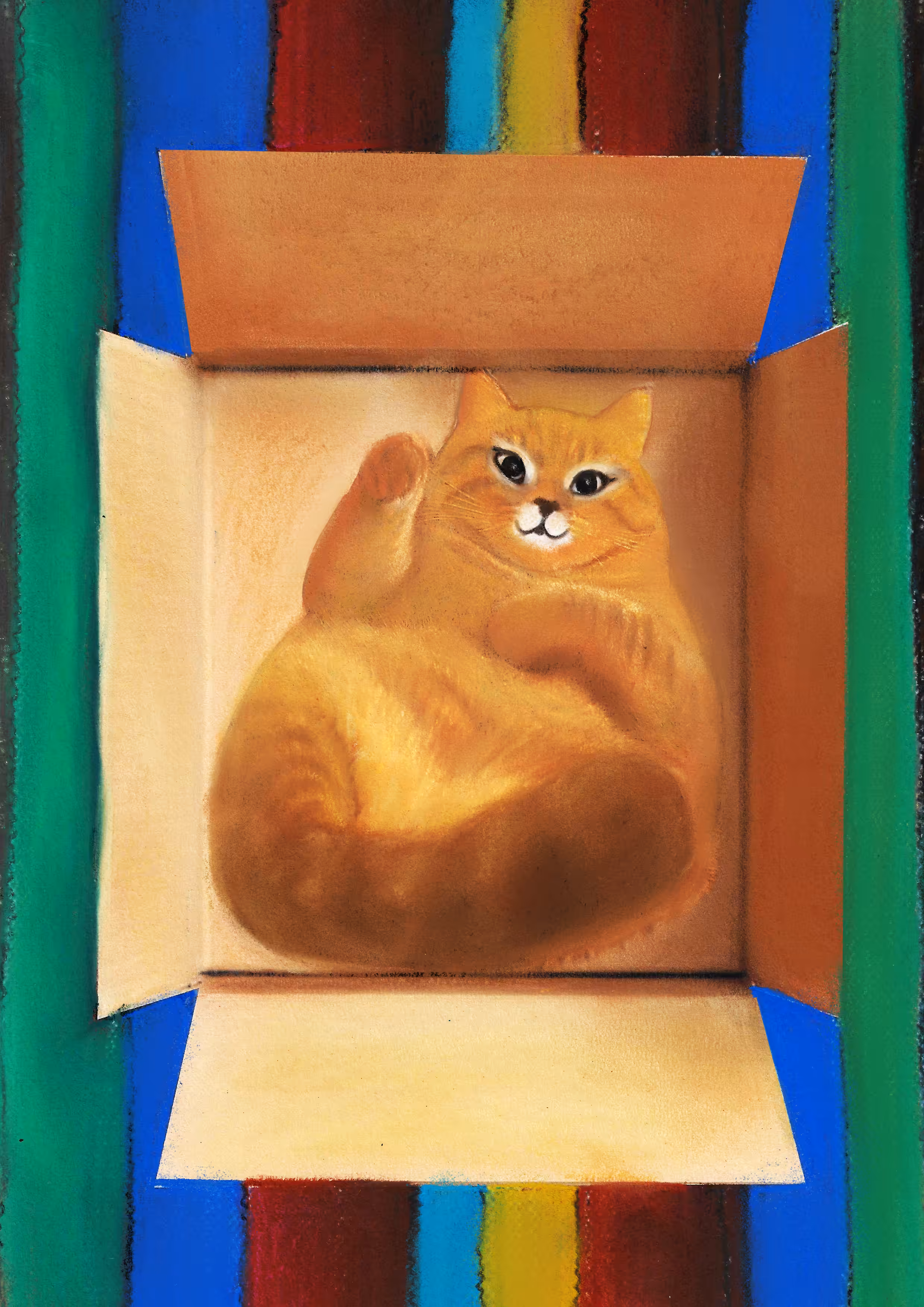 Cozy box