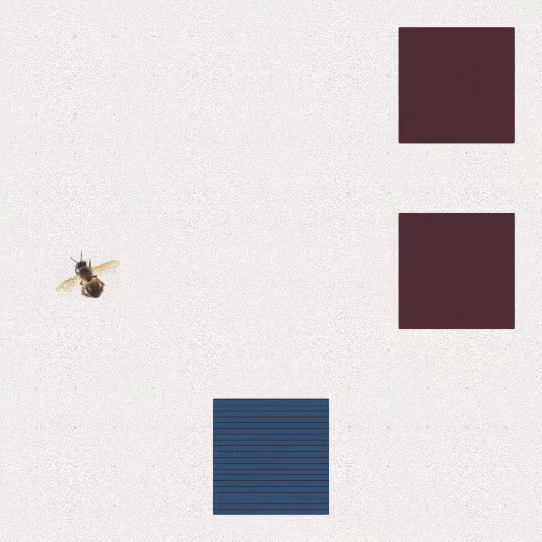 Bee #110