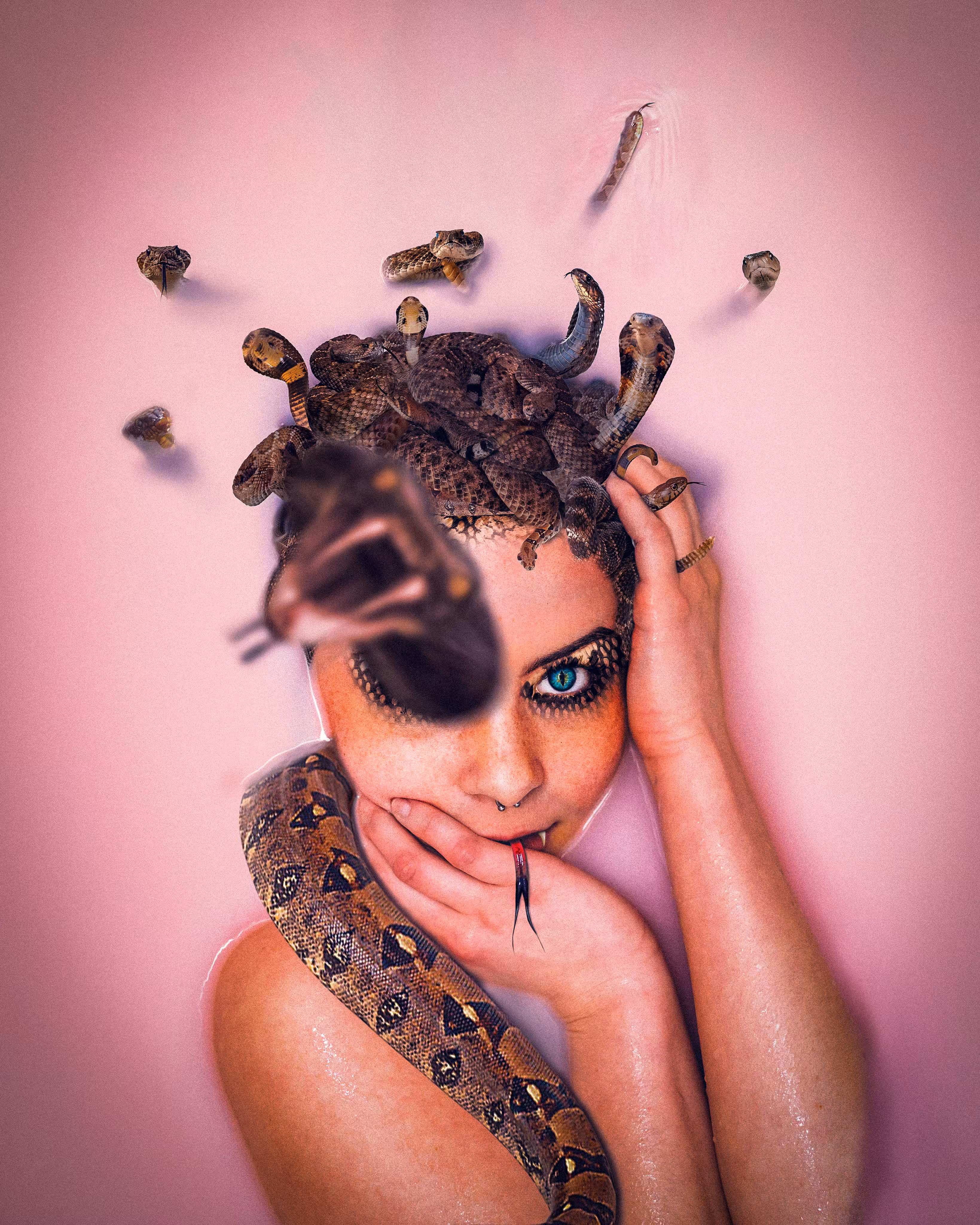 Medusa 