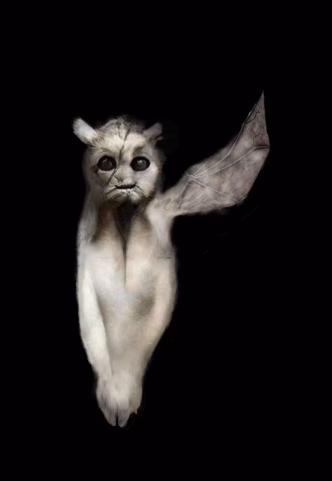 Manticore