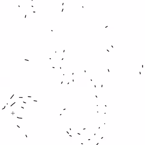 The Swarm