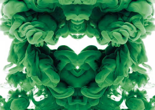 takio koizumi Art Collection: Green King