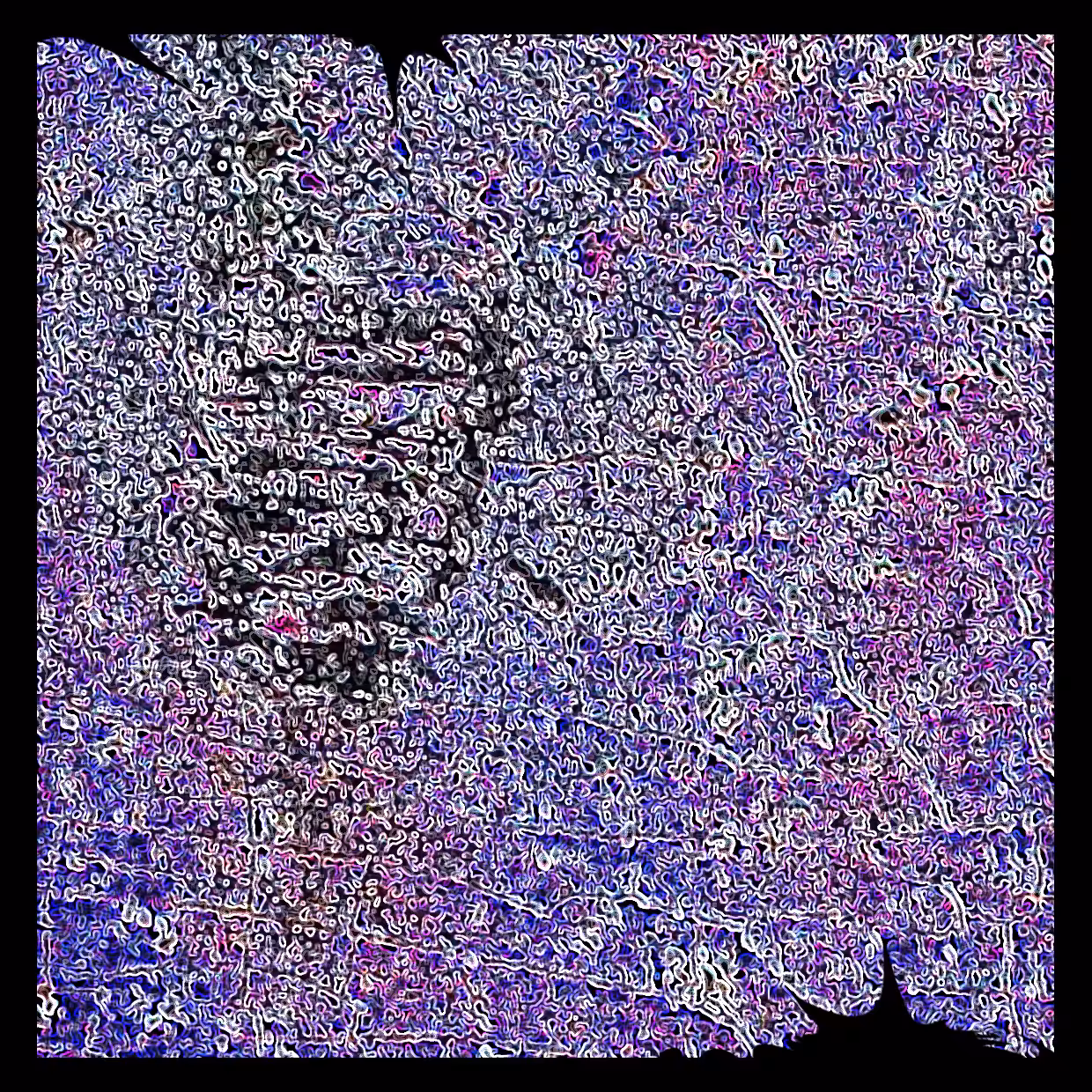 Cell 06