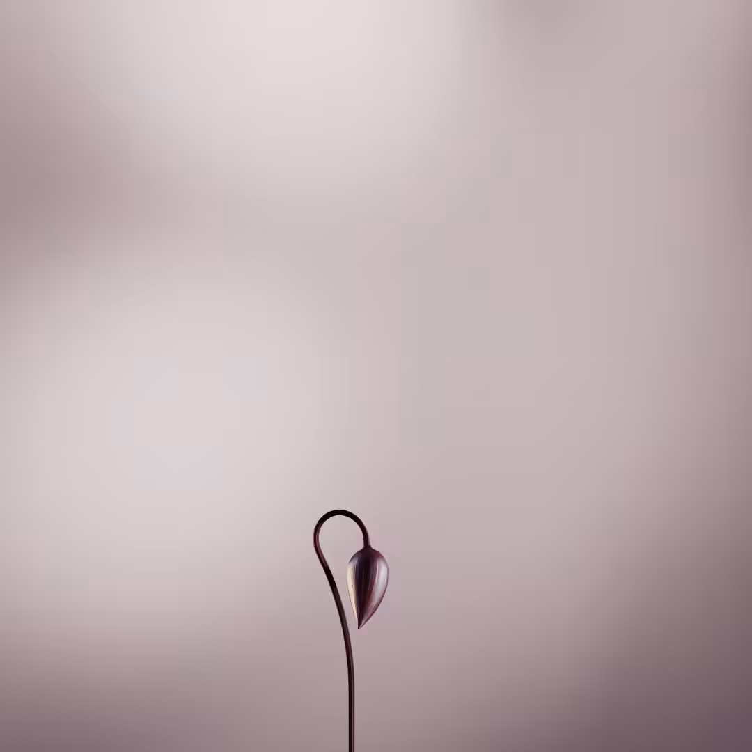 BLOOM-IGNIS