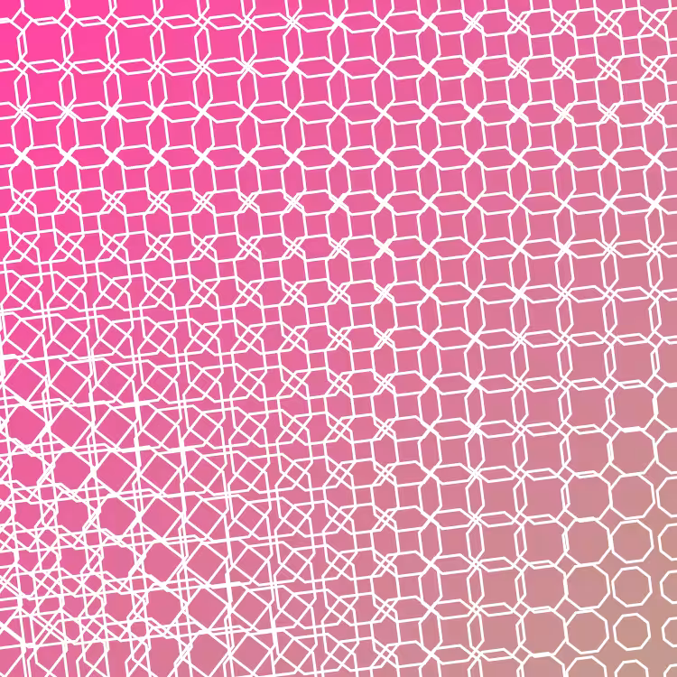 bilinearInterpolationTwist #73