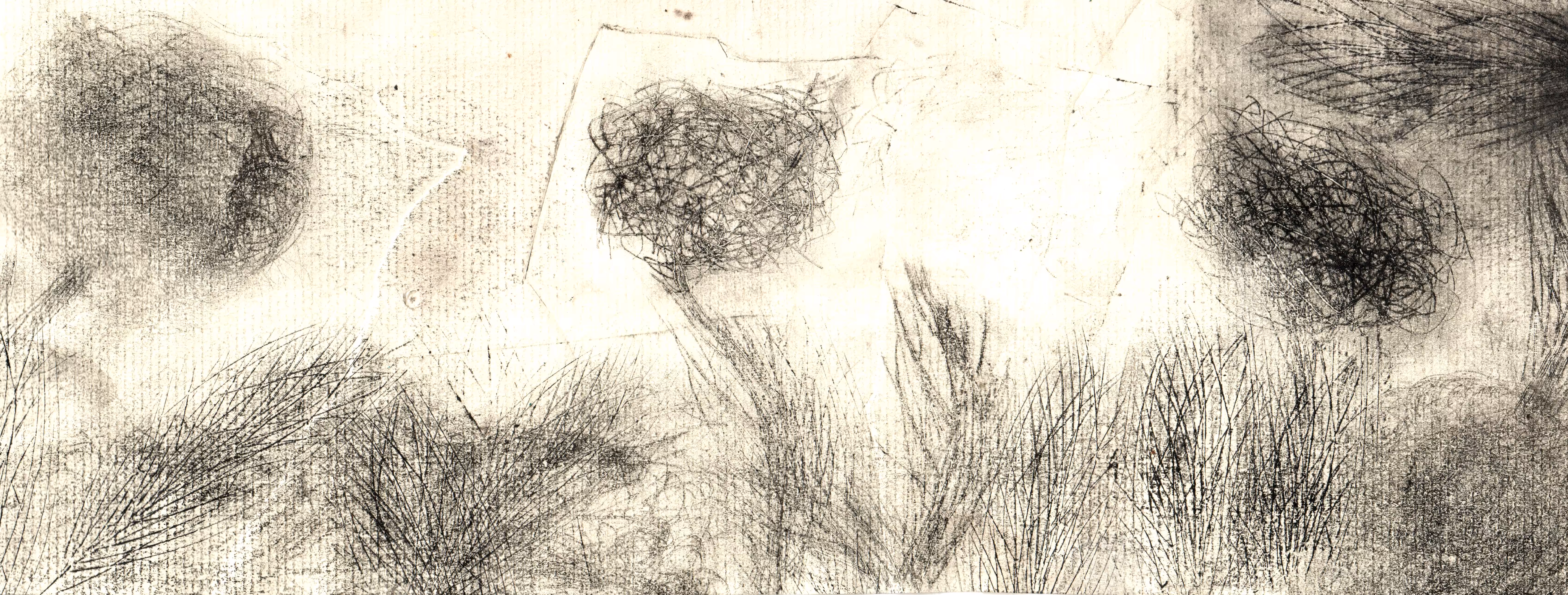 a garden print