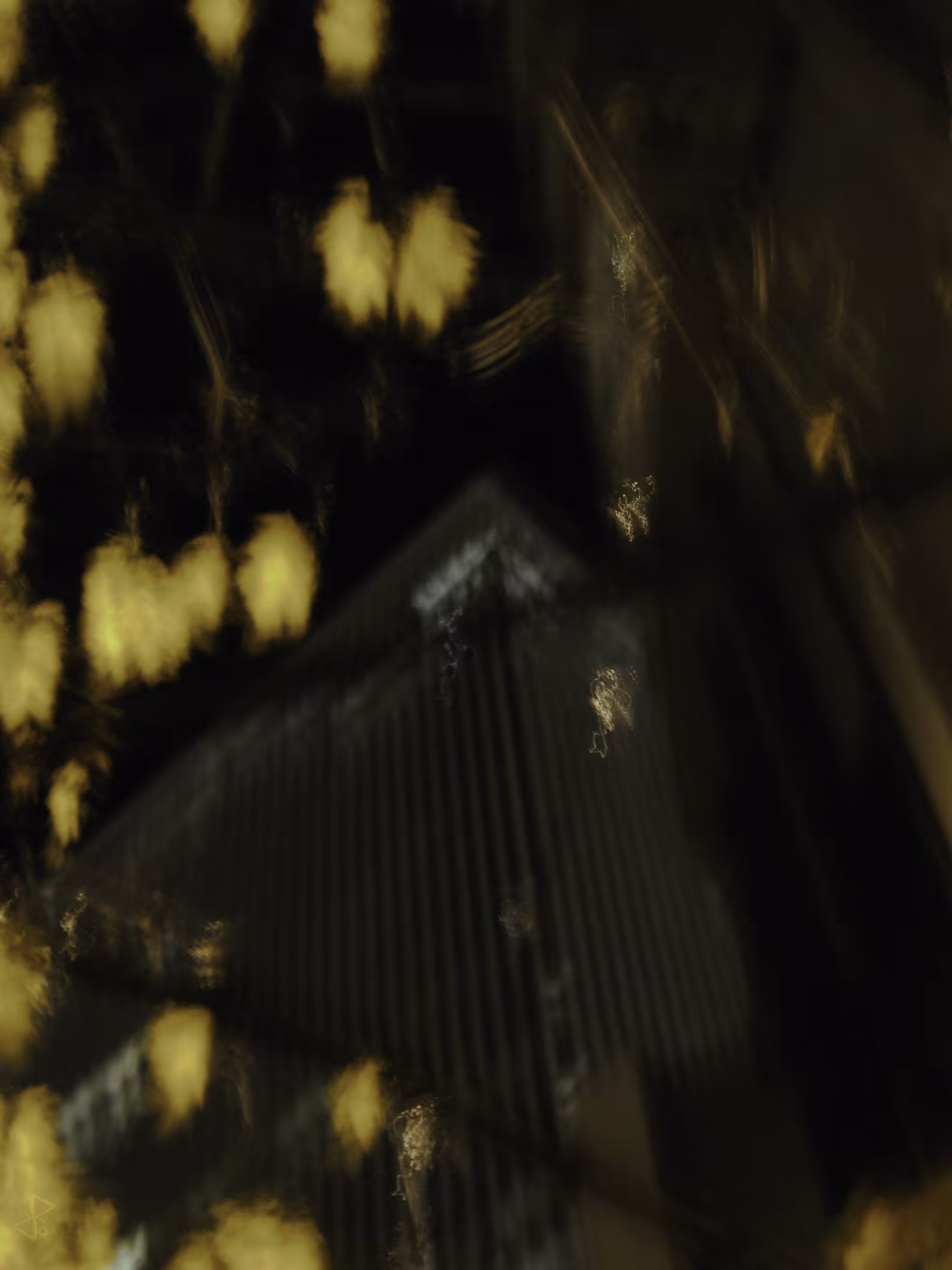 Falling light [2016]