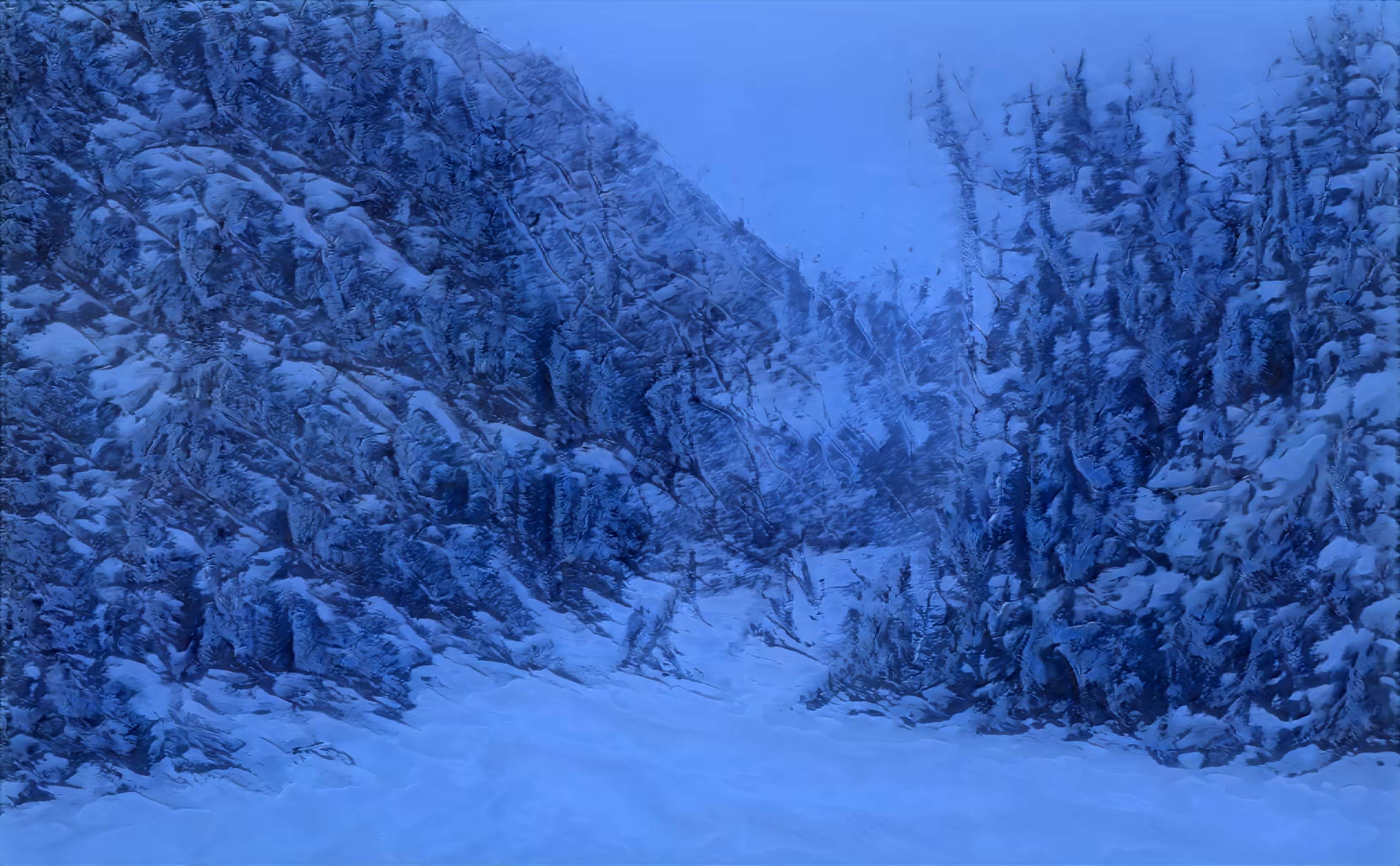 Into the Blue