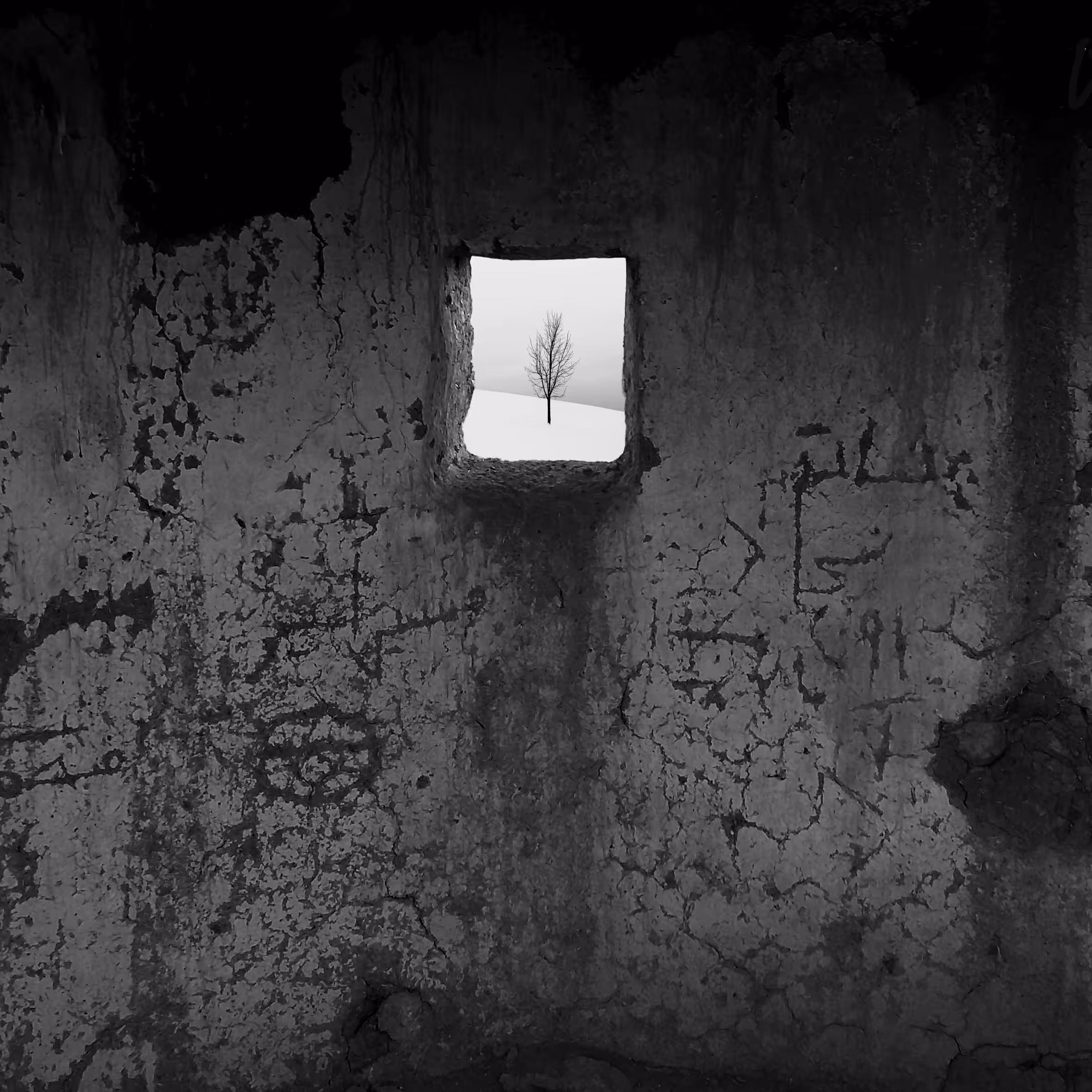 The Solitary Tree