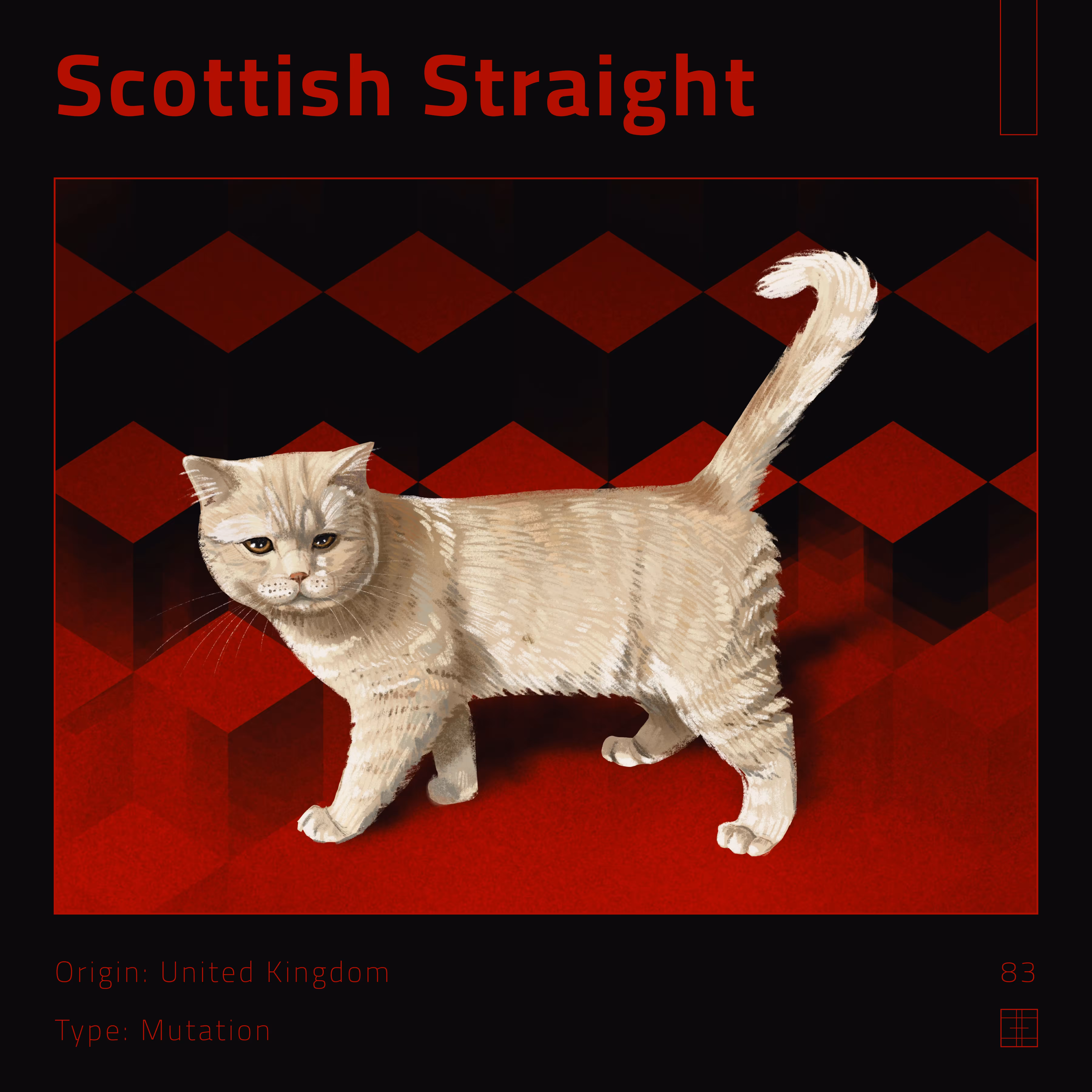 83 – Scottish Straight
