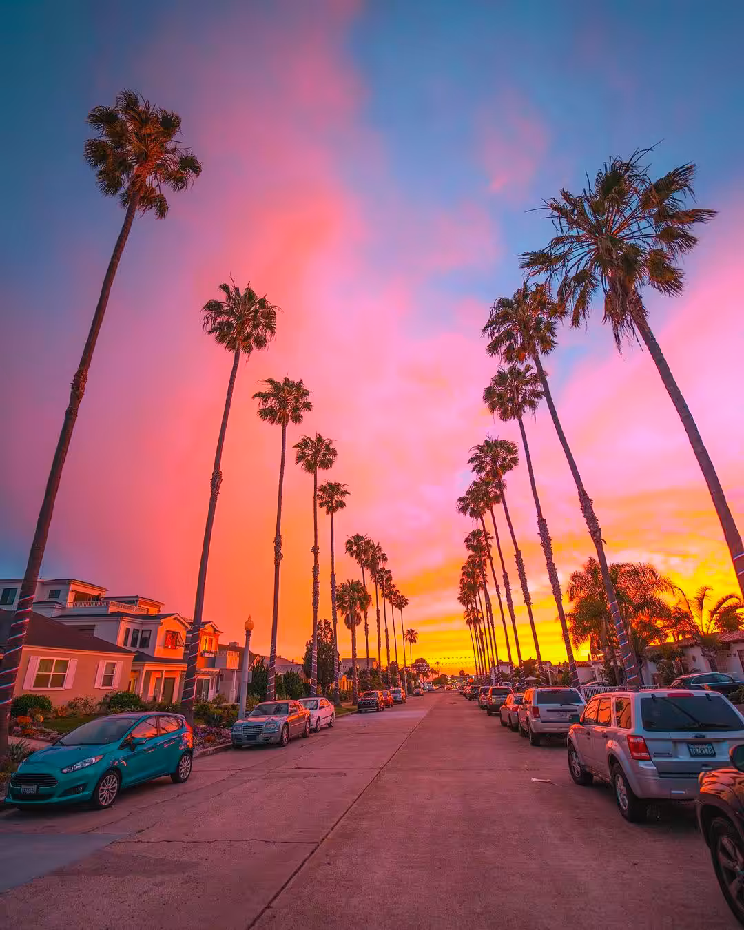Vibrant Visions