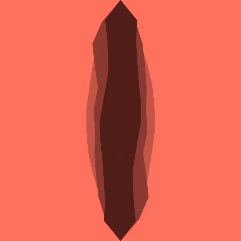 Vaginereitor #2
