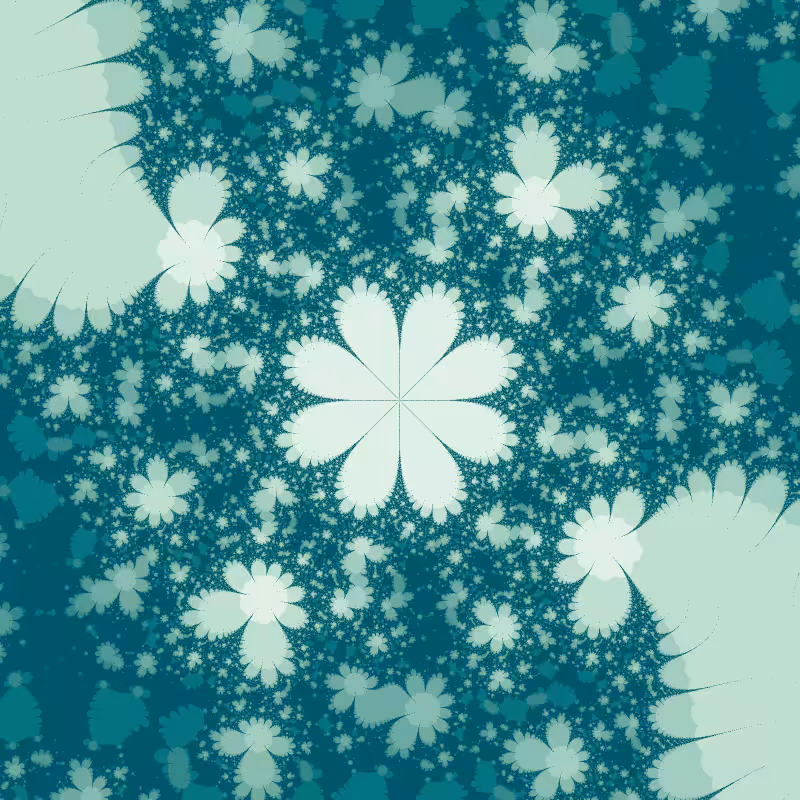 Morphology #79