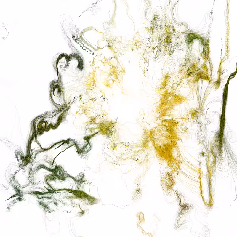 Hypericum #139
