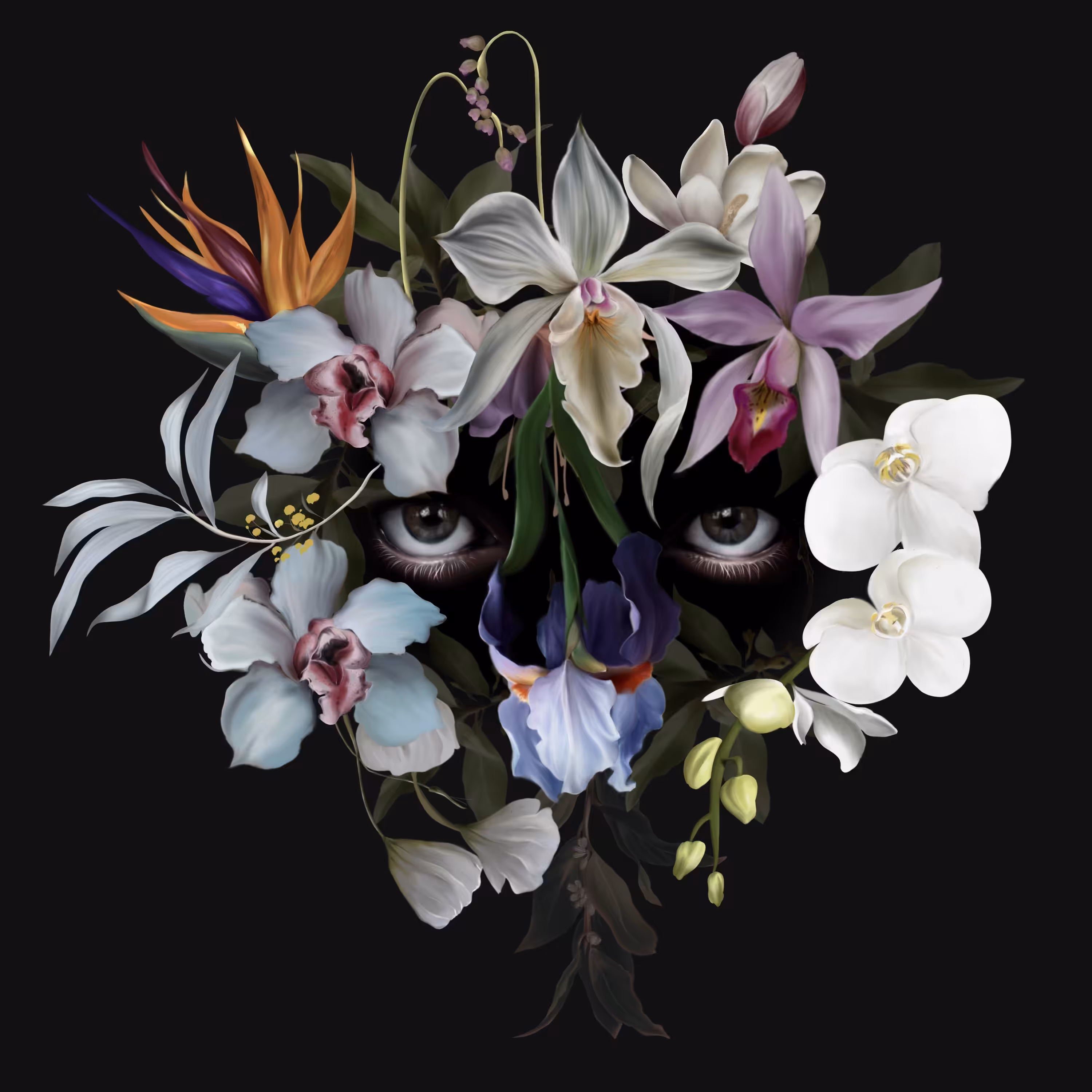 Creatures : Nature 
