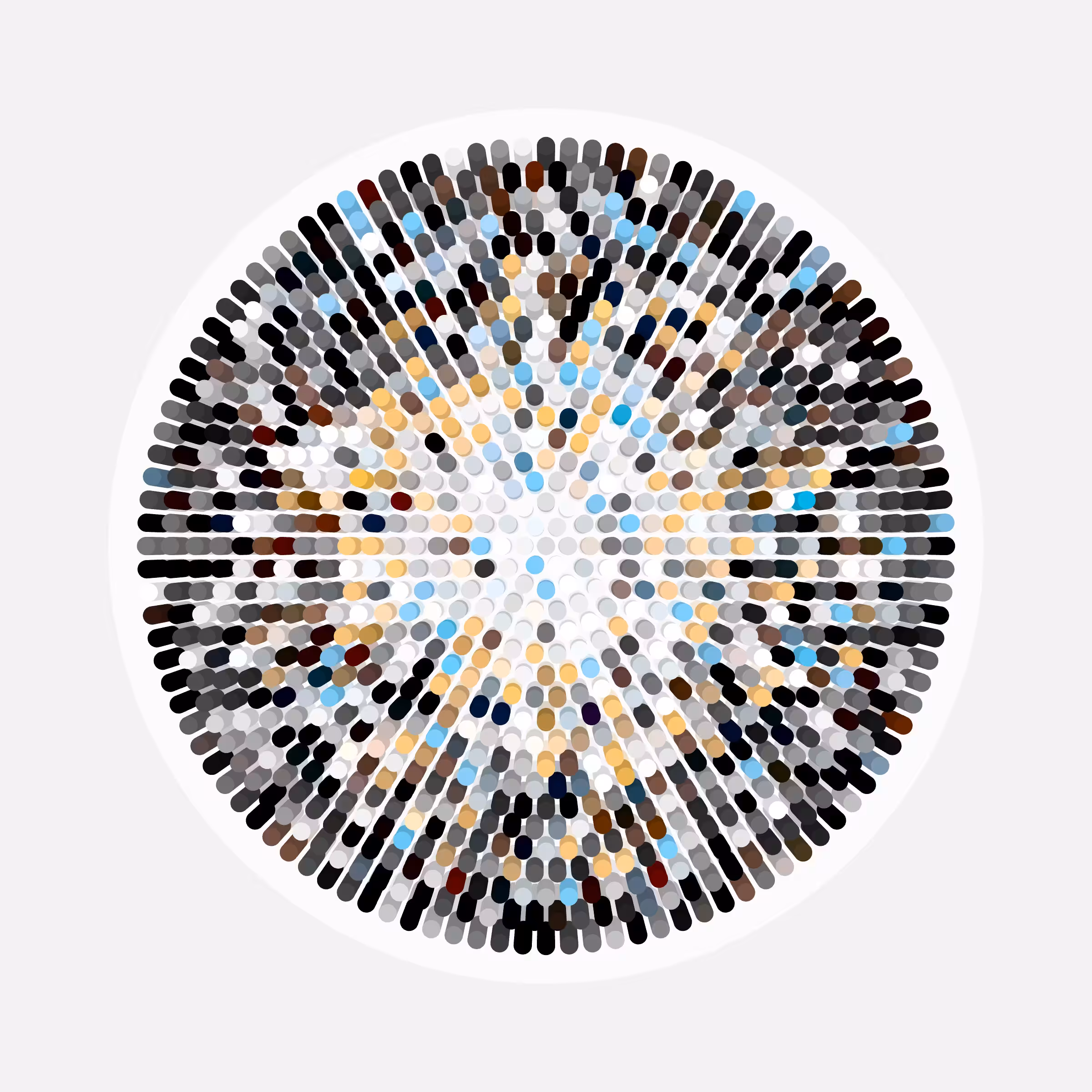Transitions #2321