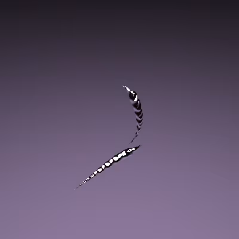 Silver Dragons #80