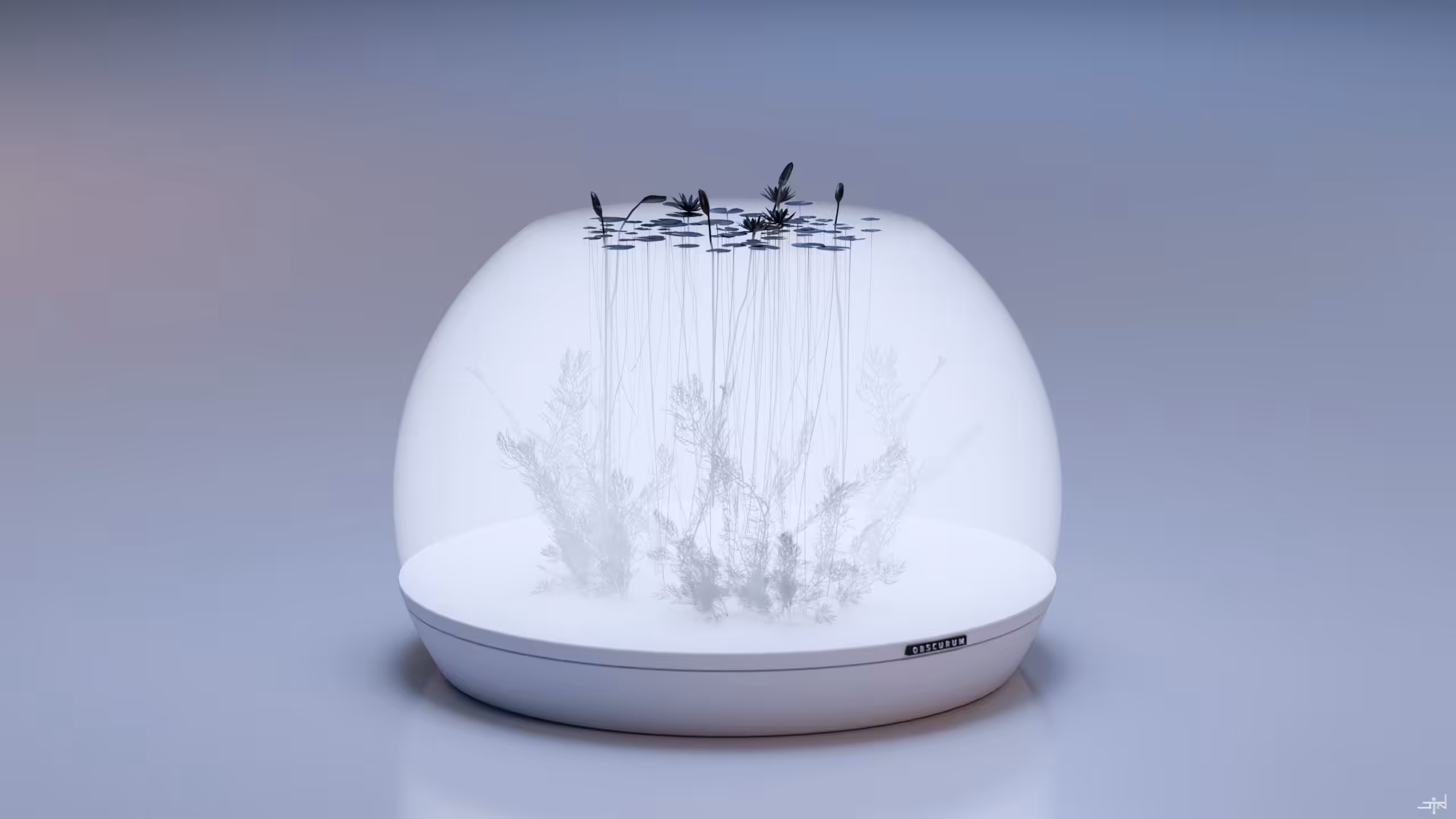 obscurum_01