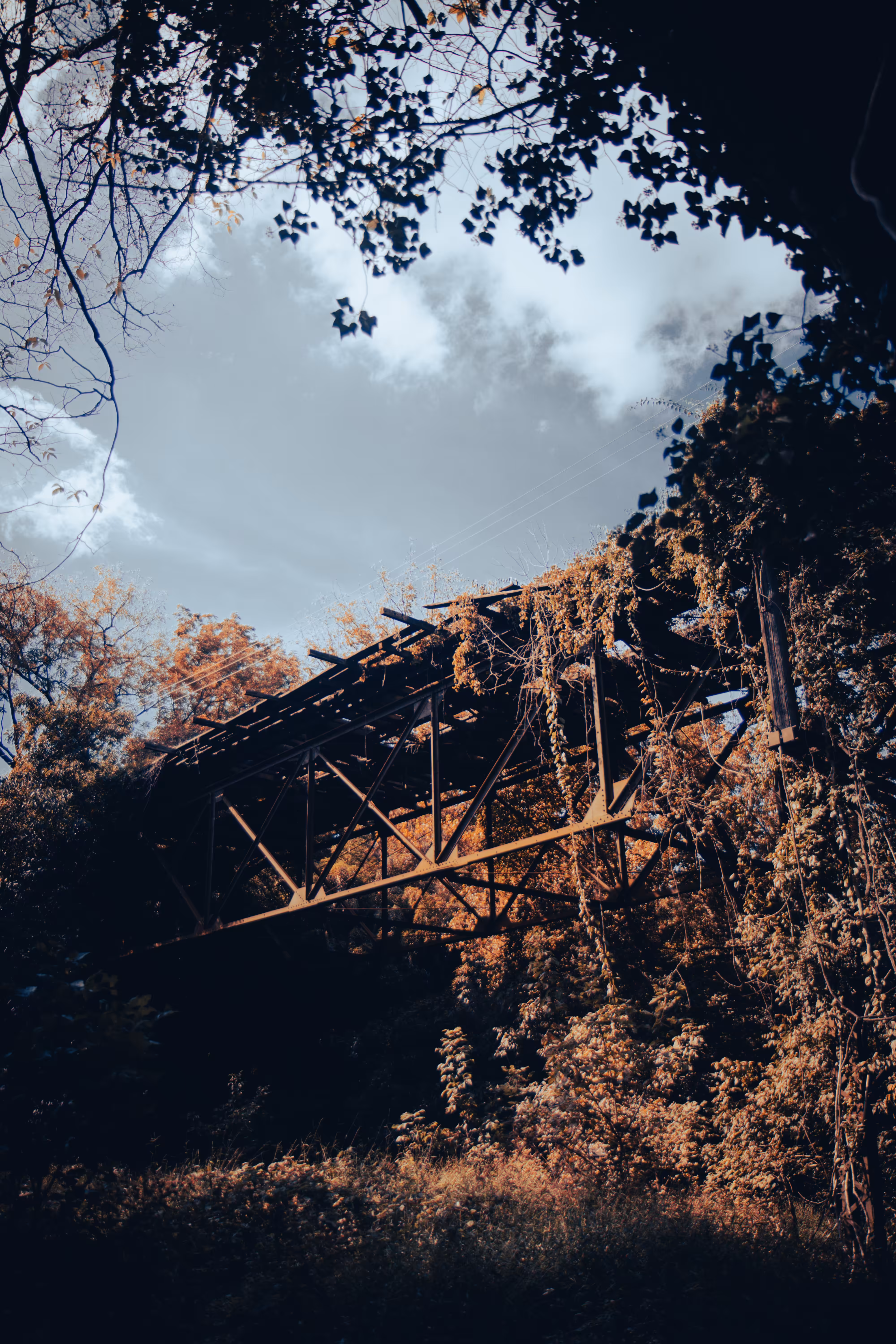 ~Rotten Rails~ 