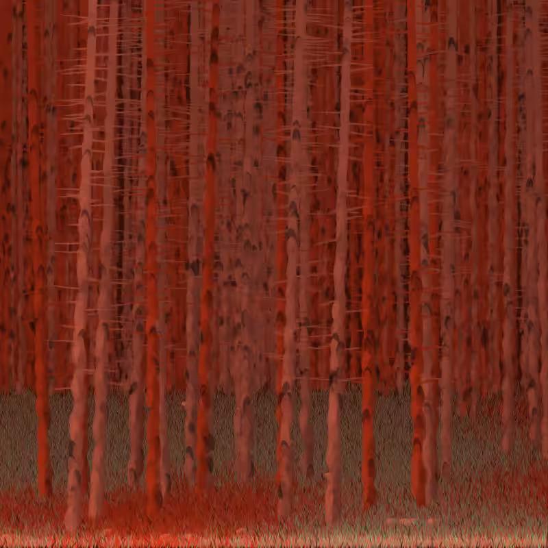 Berkenbos #18