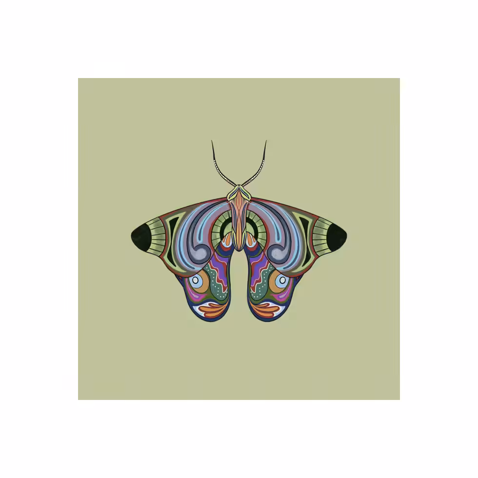 The Moth Experiment  #31